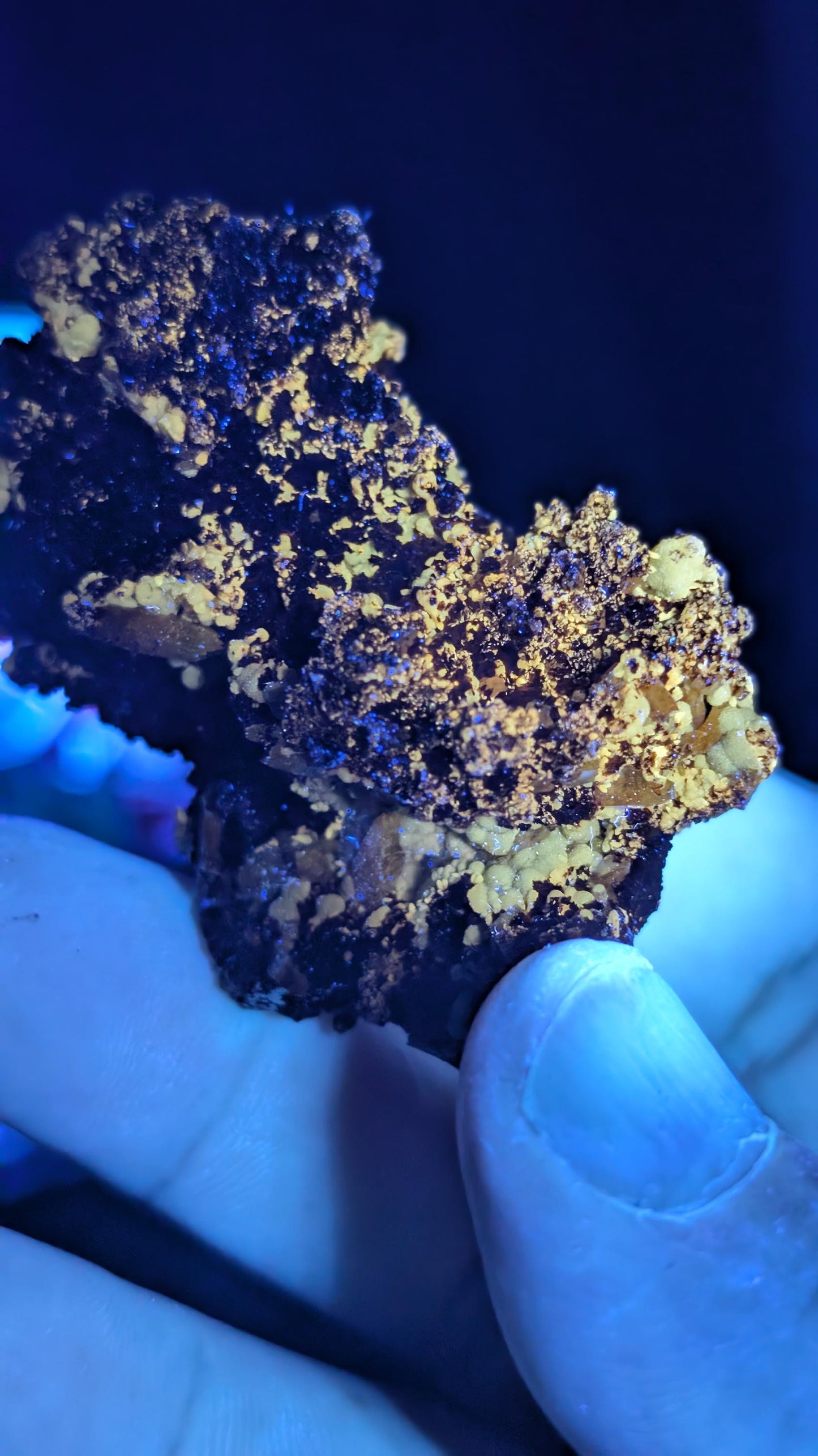 Wulfenite - Durango, Mexico – Ojuela Mine, Mapimí – Vintage Collection Piece - Rare UV Wulfenite by Sacred Alchemy Studios