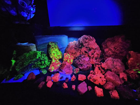 Franklin, NJ - Willemite, Calcite, and more - 450 grams - Fluorescent Mineral Mix