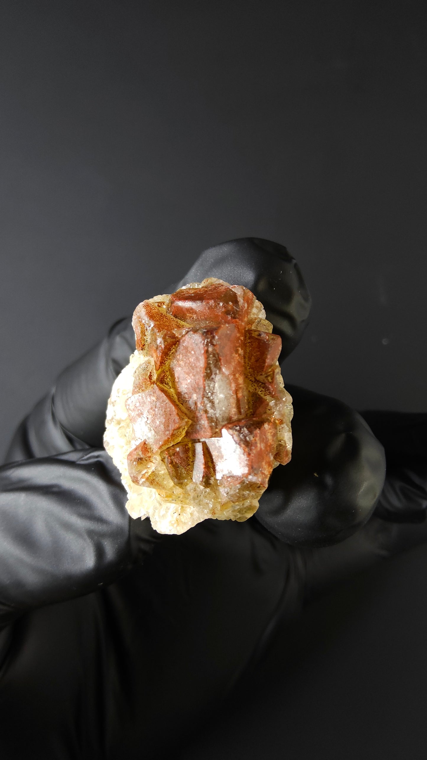 Andradite Garnet - N'chwaning Mine, South Africa - Lustrous dodecahedral crystal by Sacred Alchemy Studios