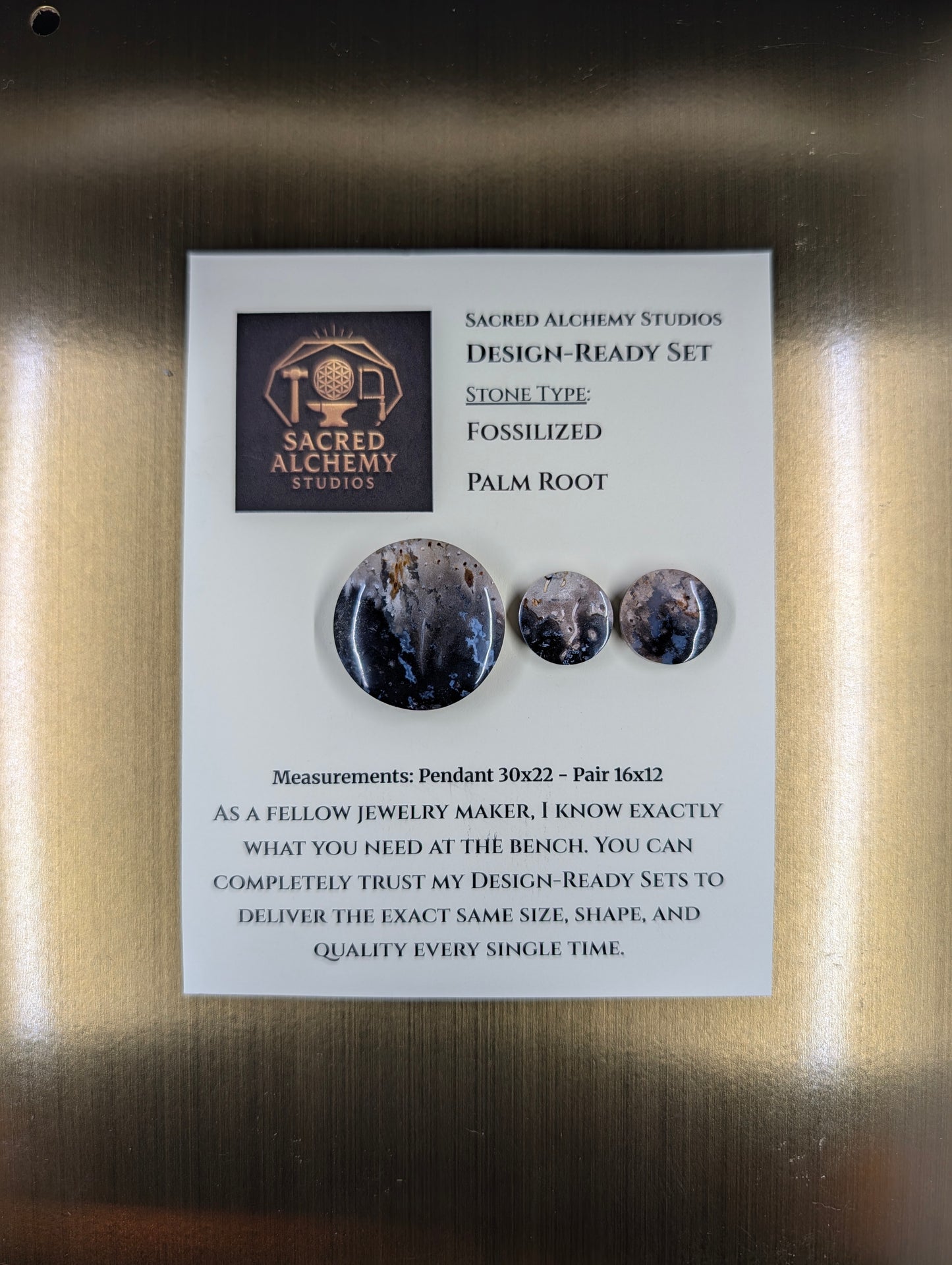 Circle Shape - Fossilized Palm Root - Design-Ready Set by Sacred Alchemy Studios