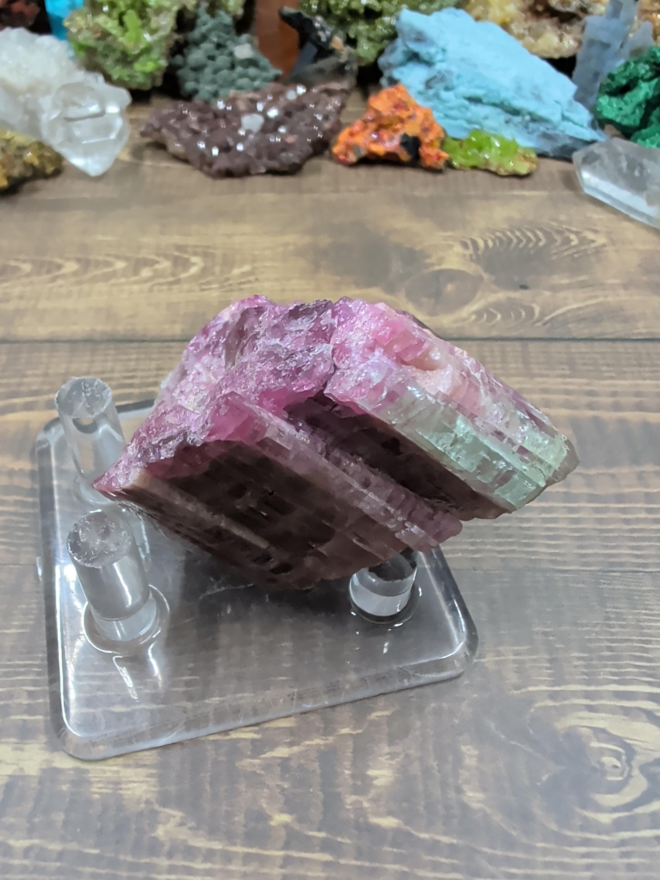 Tourmaline - Watermelon - Minas Gerais, Brazil - Specimen by Sacred Alchemy Studios