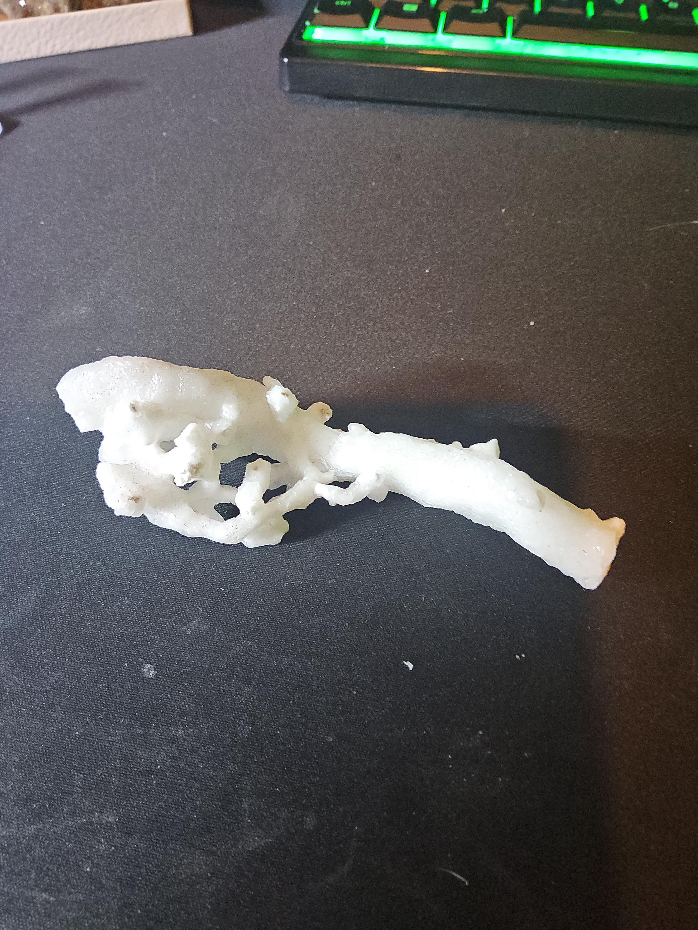 Aragonite - Mined in Chihuahua, Mexico - Natural Cave Formation - Coral-Like Specimen