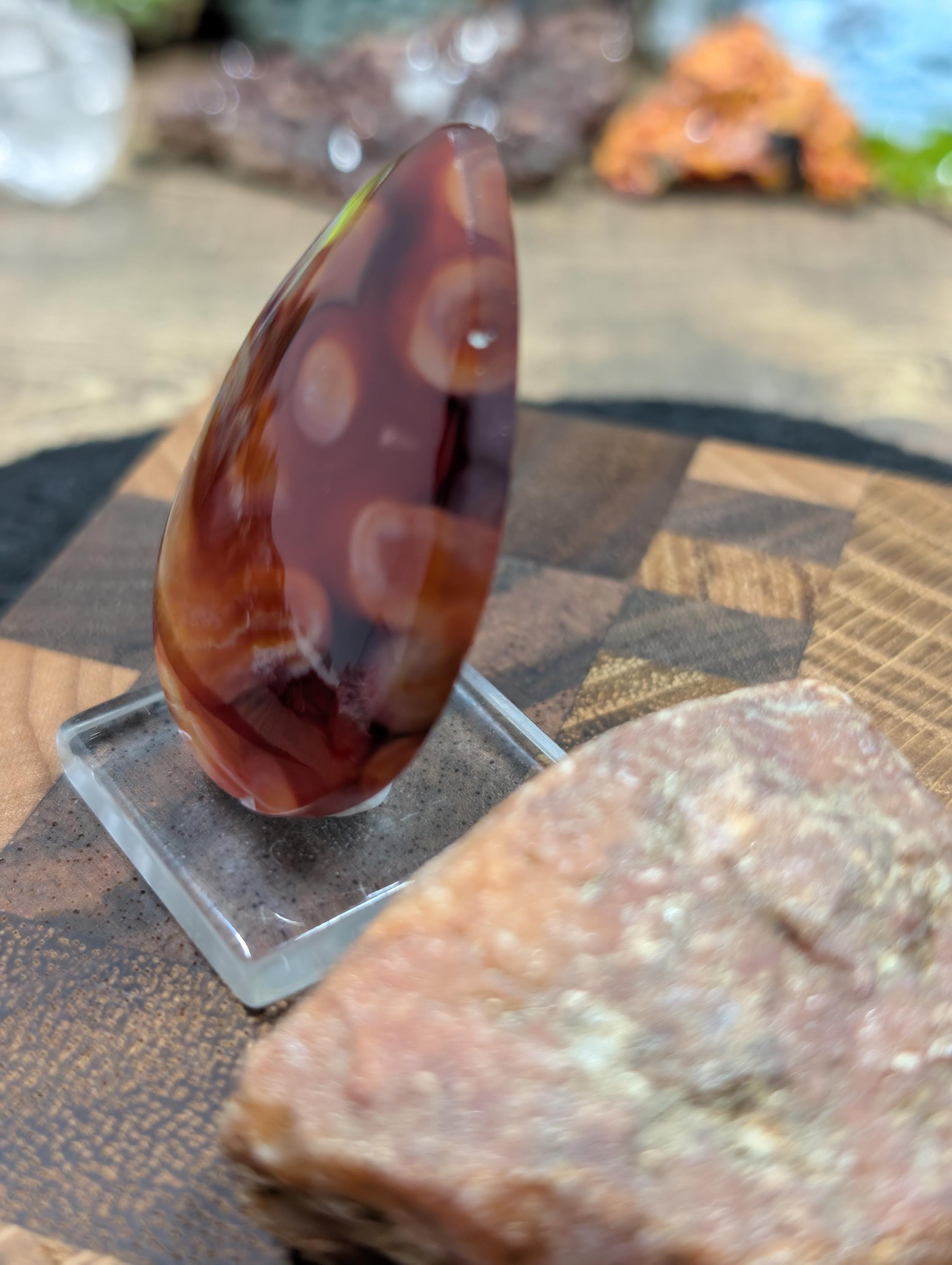 Carnelian -  Morocco  - 1 pc Cabochon