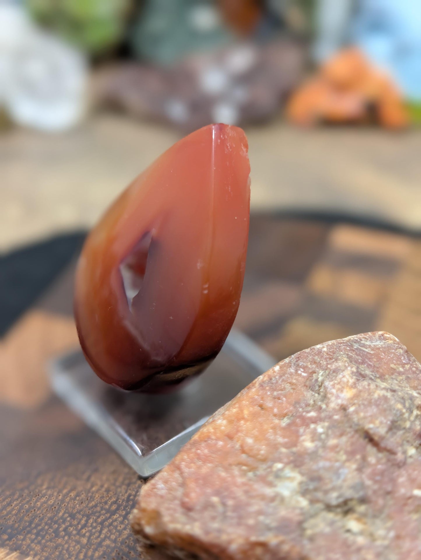Carnelian -  Morocco  - 1 pc Cabochon