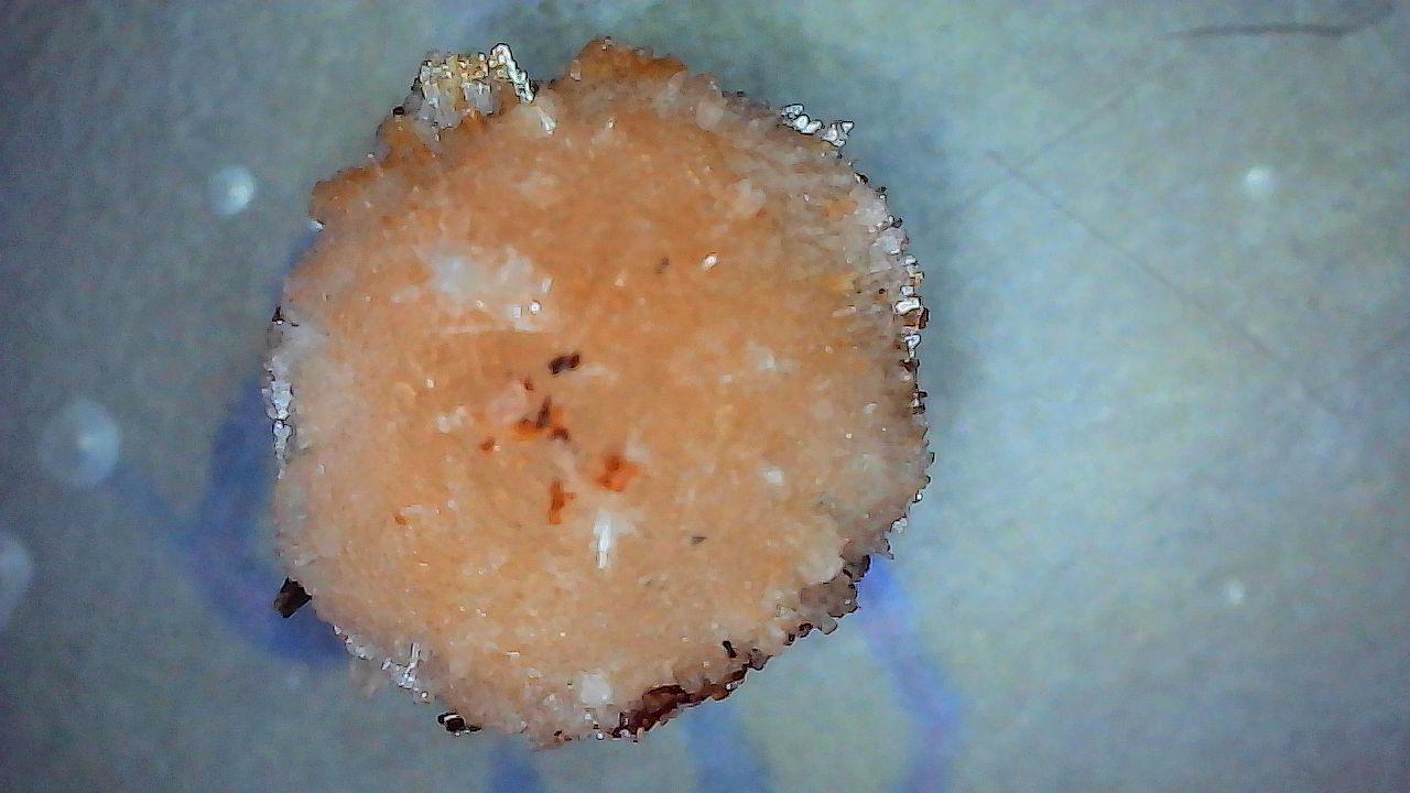 Hatelemohite Specimen – Mont Saint-Hilaire, Quebec - Ultra Rare by Sacred Alchemy Studios