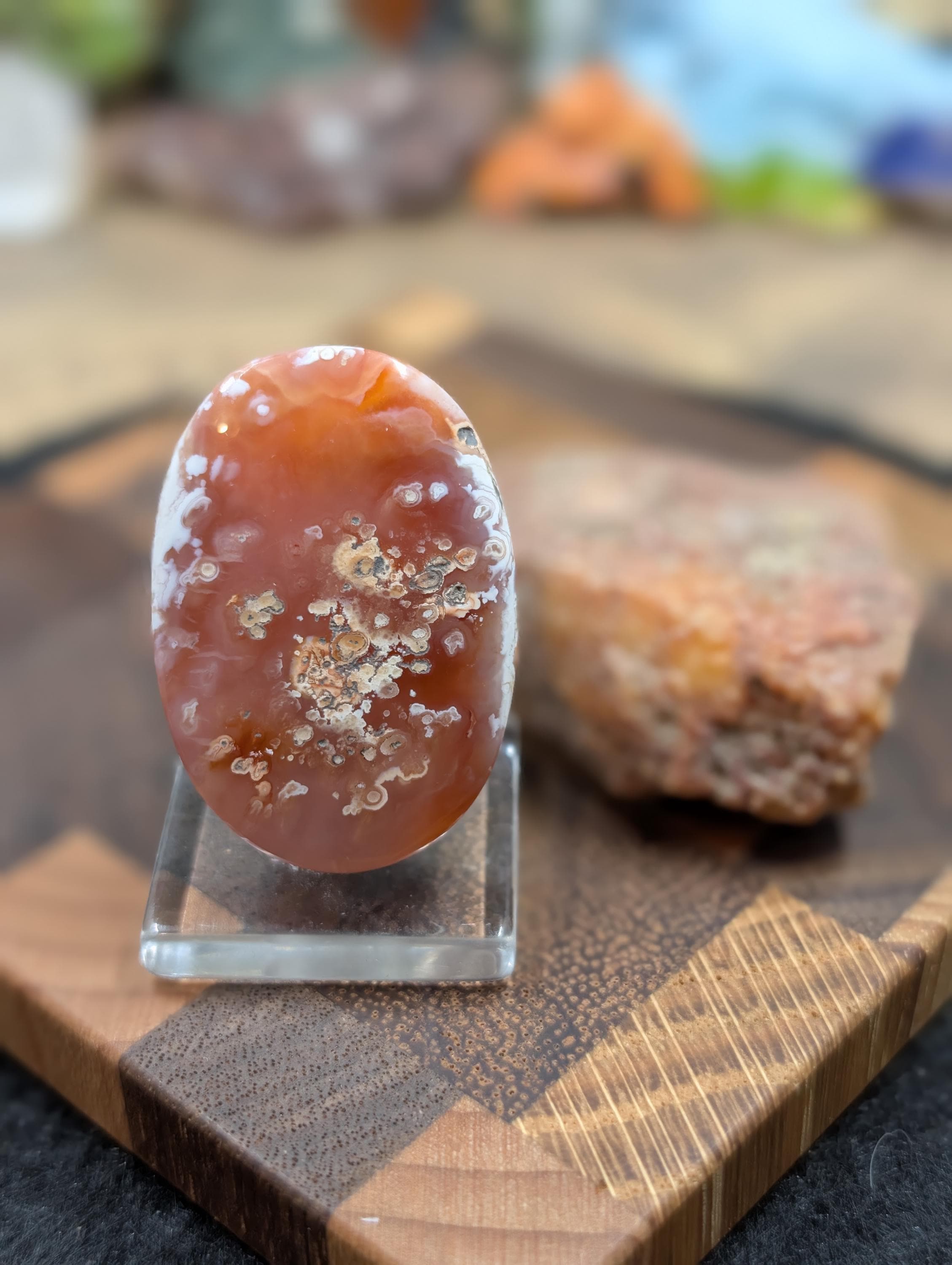 Carnelian -  Morocco  - 1 pc Cabochon
