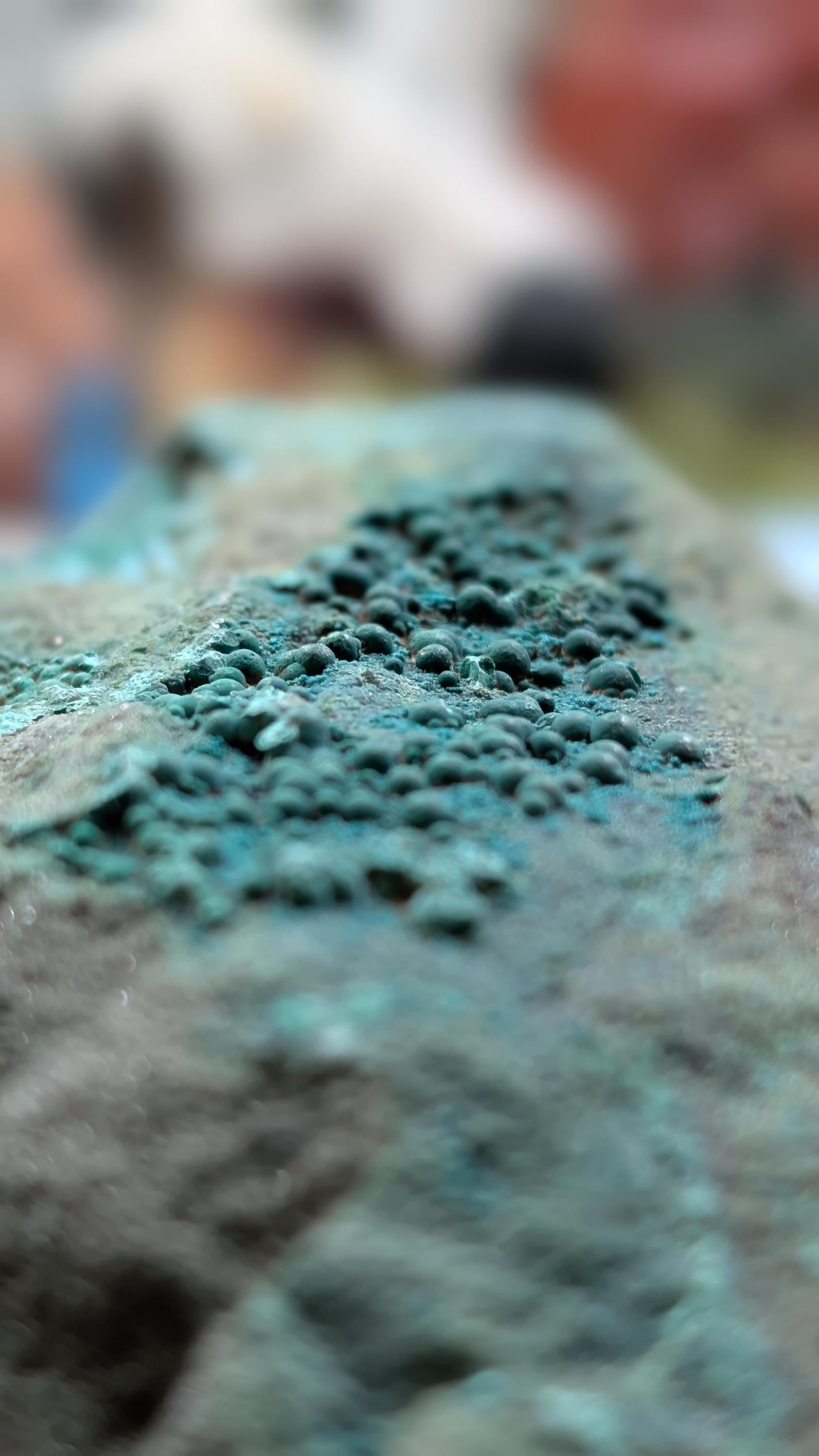 Pseudomalachite - North Arlington, New Jersey - Schuyler Copper Mine - Historic Rare First Copper Mine in US - 769 grams by Sacred Alchemy Studios
