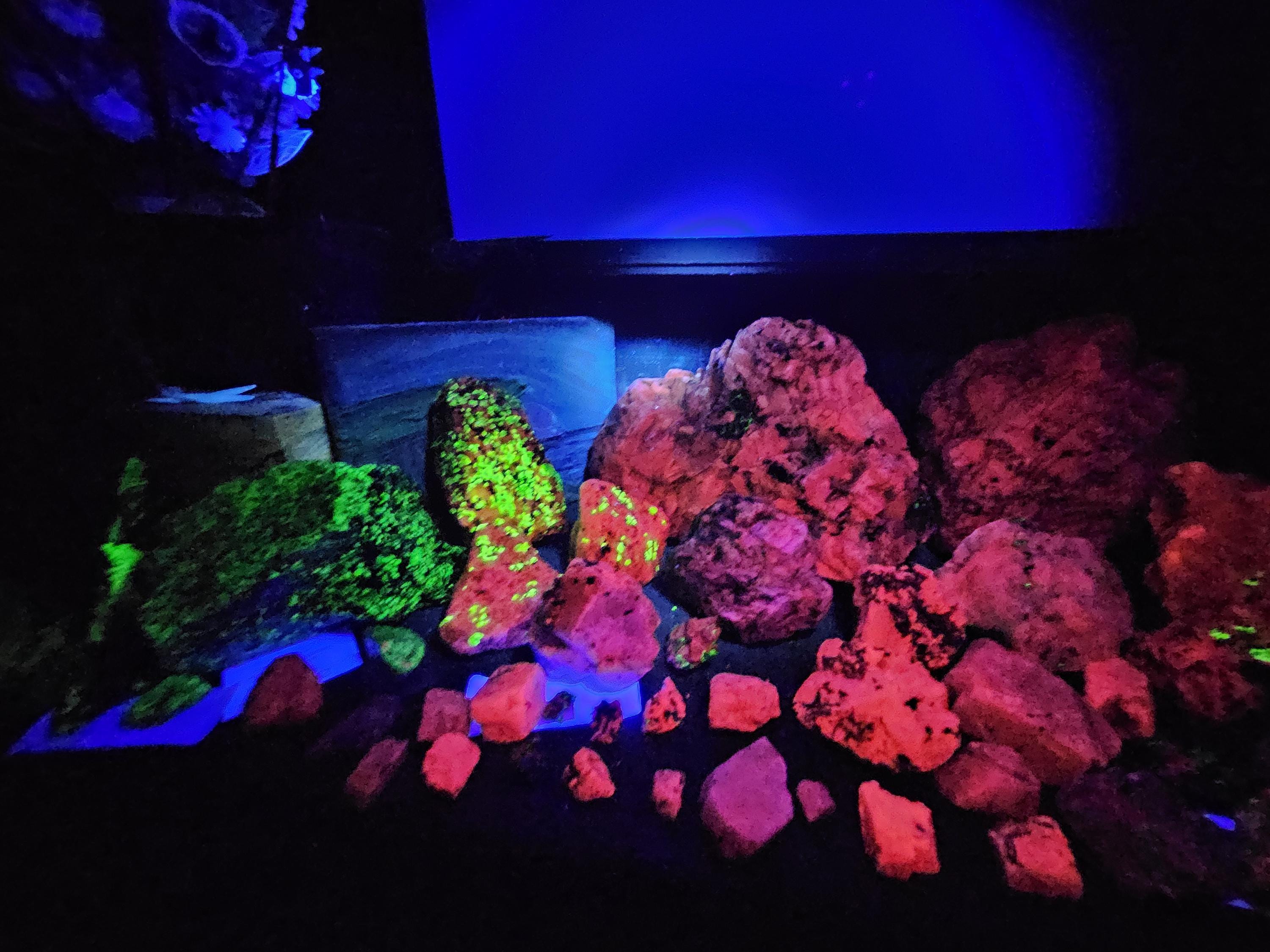 Franklin, NJ - Willemite, Calcite, and more - 450 grams - Fluorescent Mineral Mix by Sacred Alchemy Studios