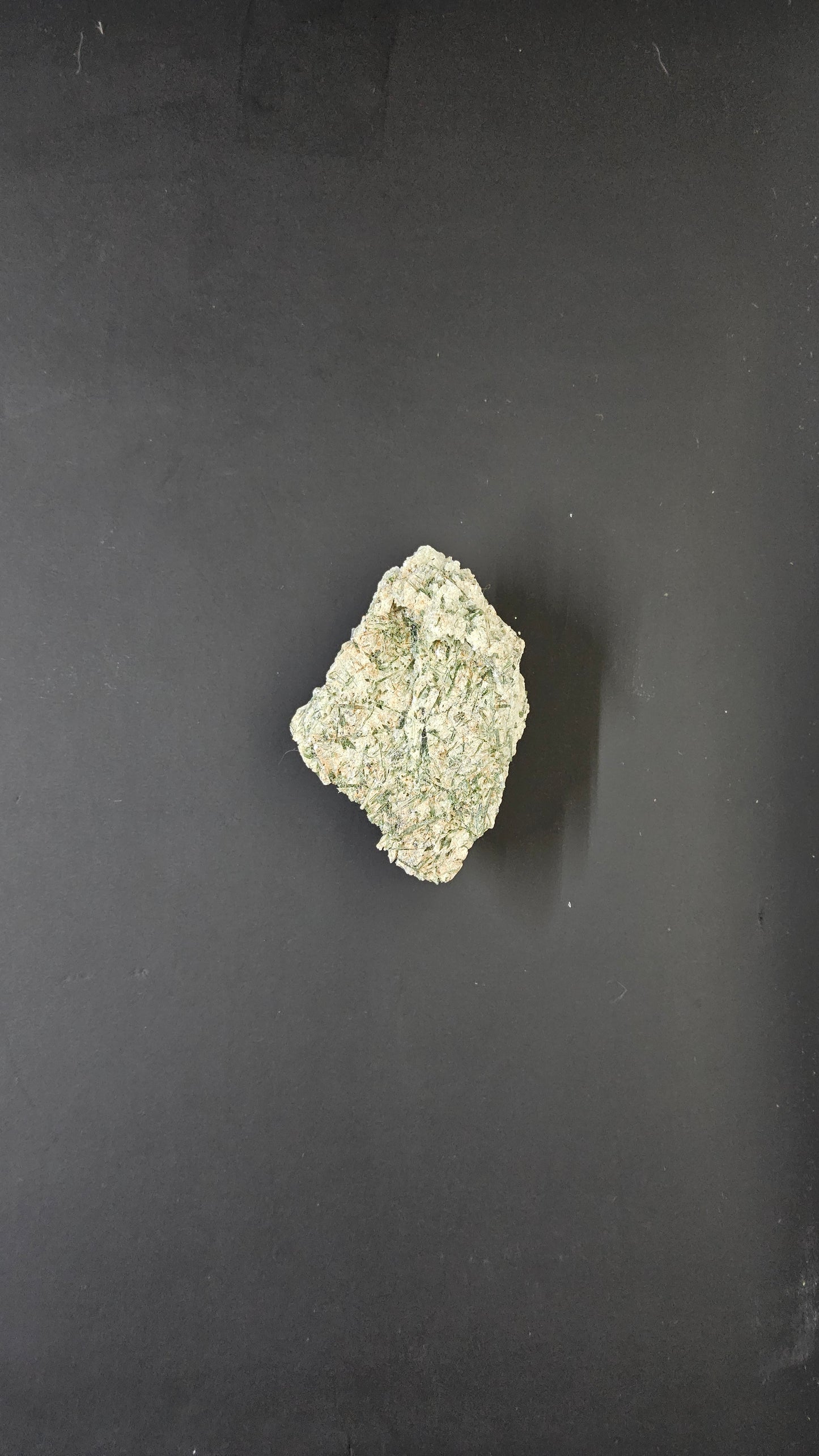 Actinolite - Mineral specimen - Radiating green crystal habit