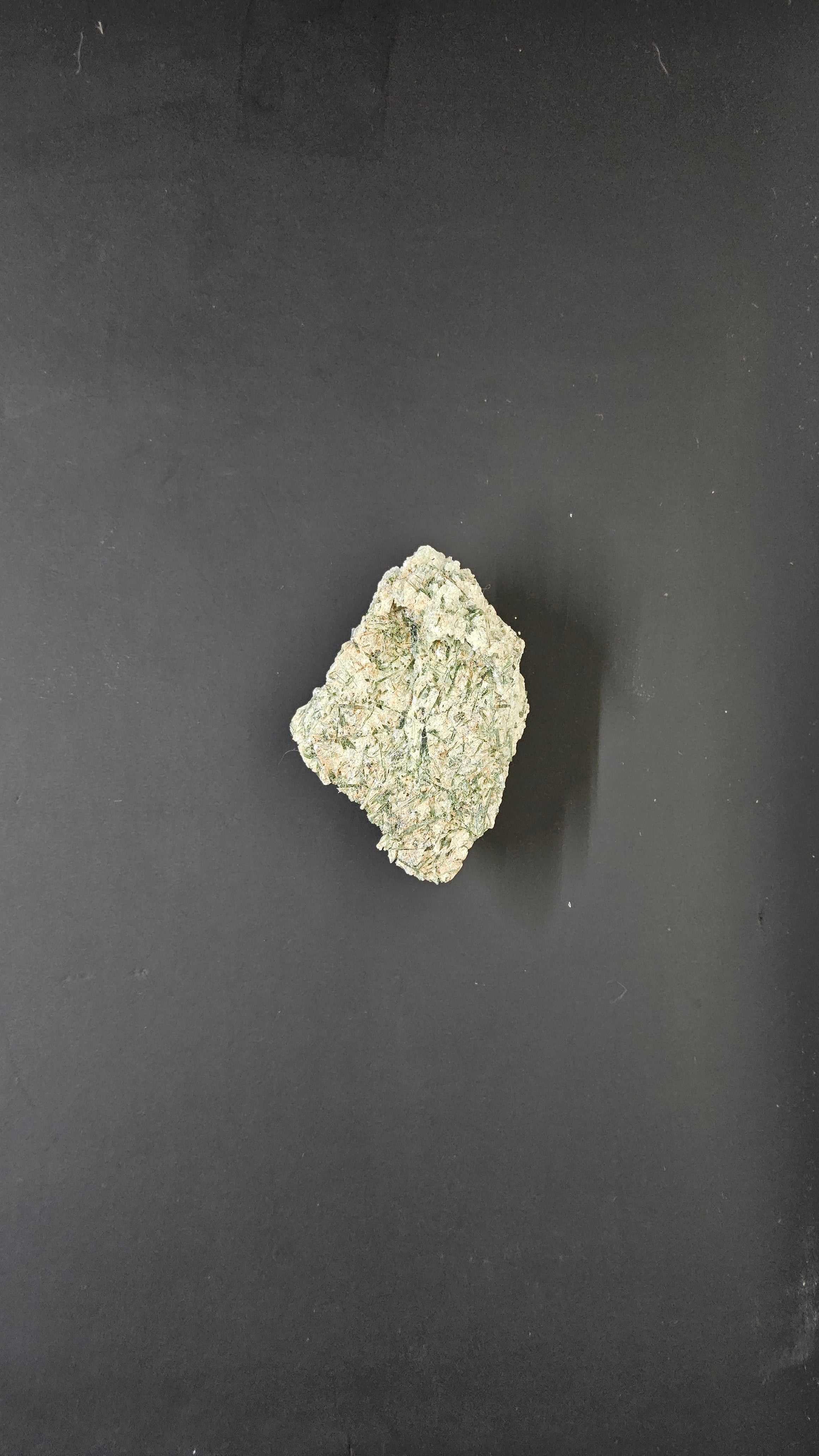 Actinolite - Mineral specimen - Radiating green crystal habit by Sacred Alchemy Studios