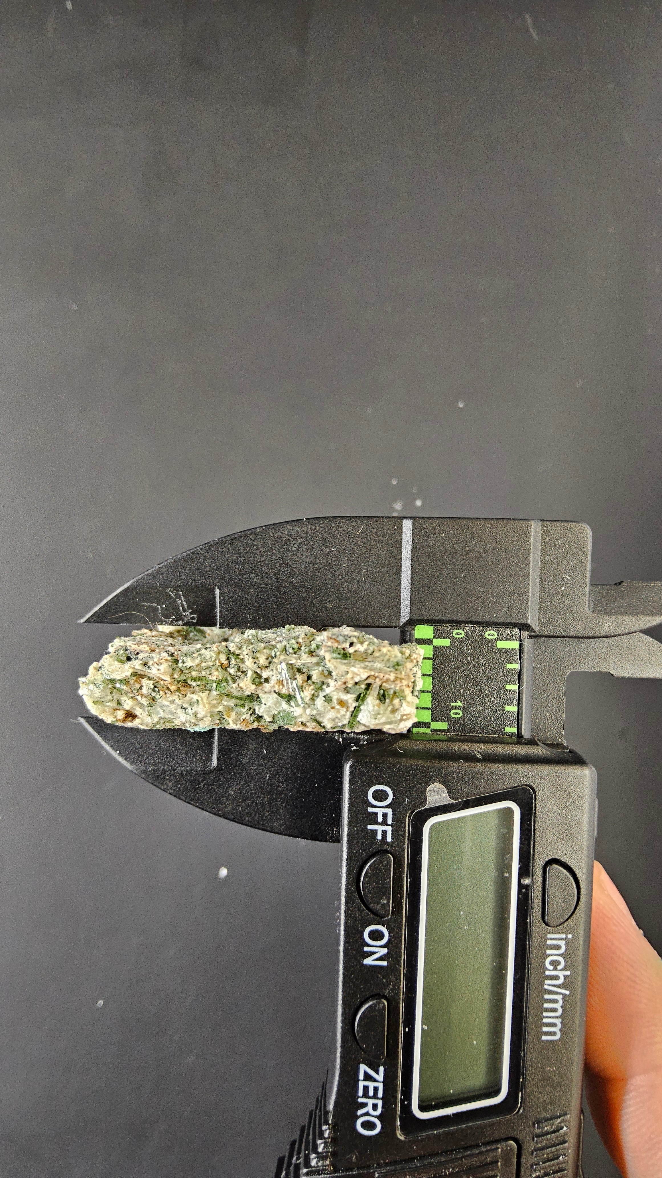 Actinolite - Mineral specimen - Radiating green crystal habit by Sacred Alchemy Studios