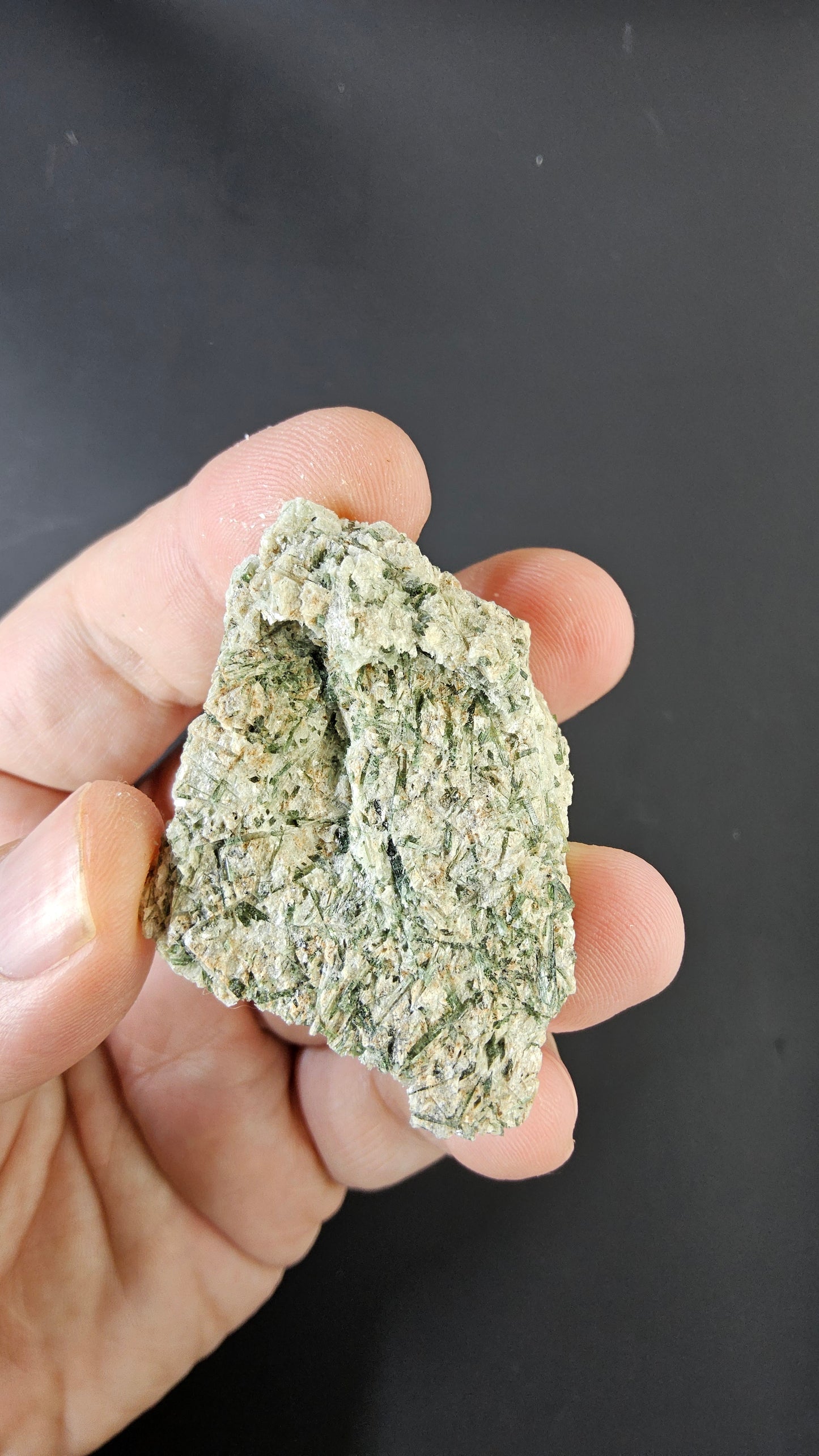 Actinolite - Mineral specimen - Radiating green crystal habit
