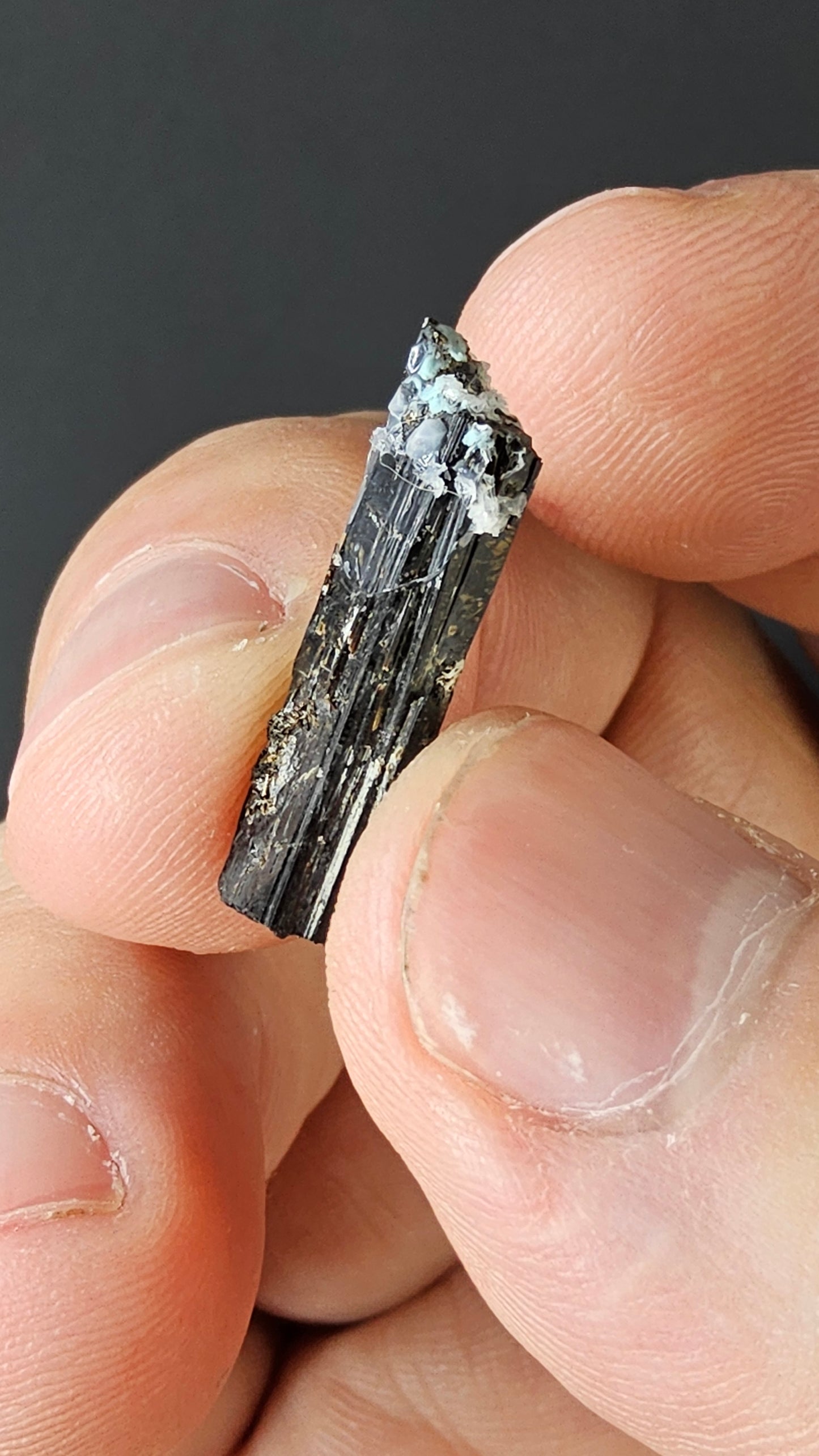 Aegirine - Quebec, Canada - Mount St Hilarious - Jet-black prismatic crystal specimen by Sacred Alchemy Studios