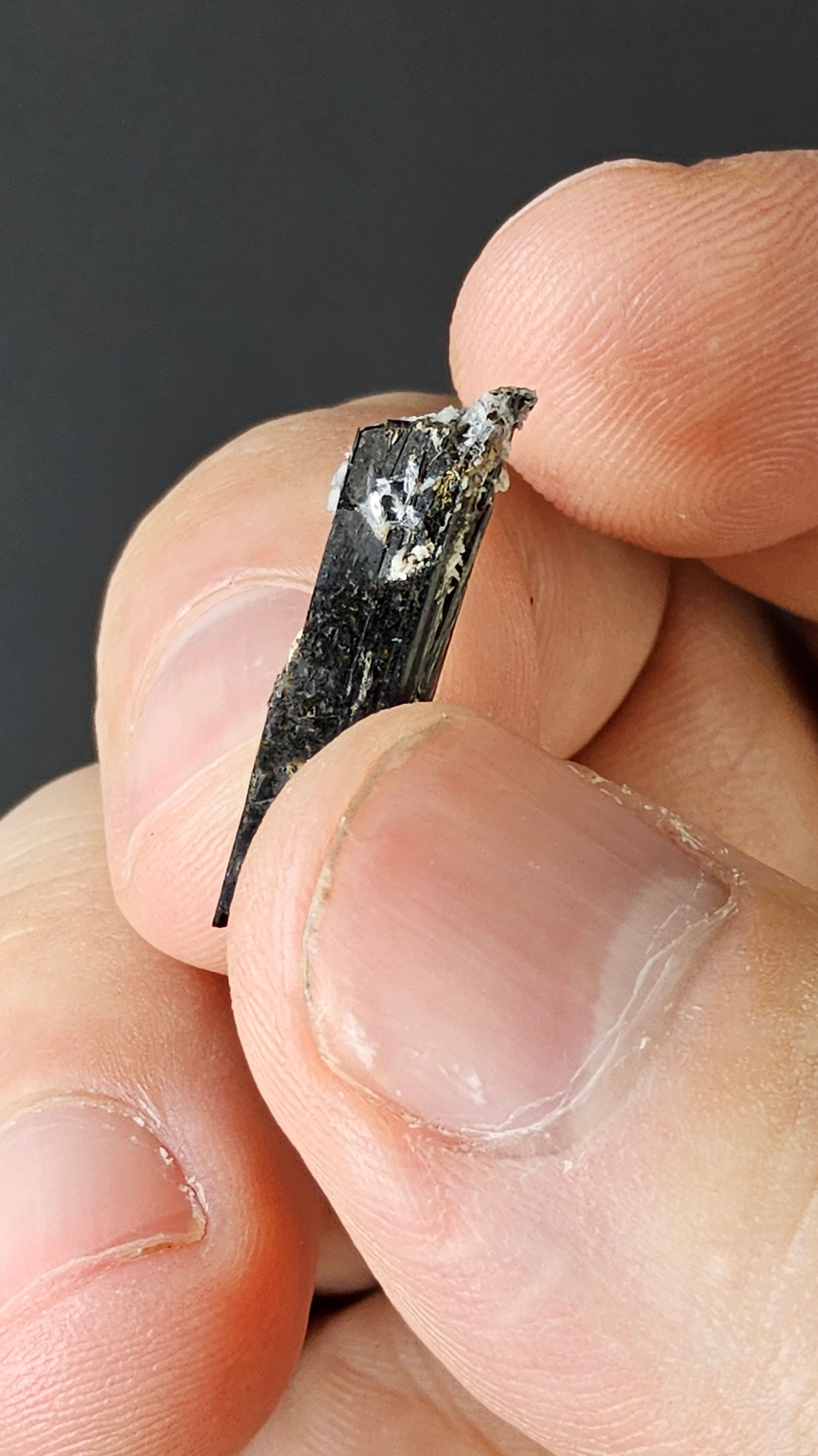 Aegirine - Quebec, Canada - Mount St Hilarious - Jet-black prismatic crystal specimen by Sacred Alchemy Studios