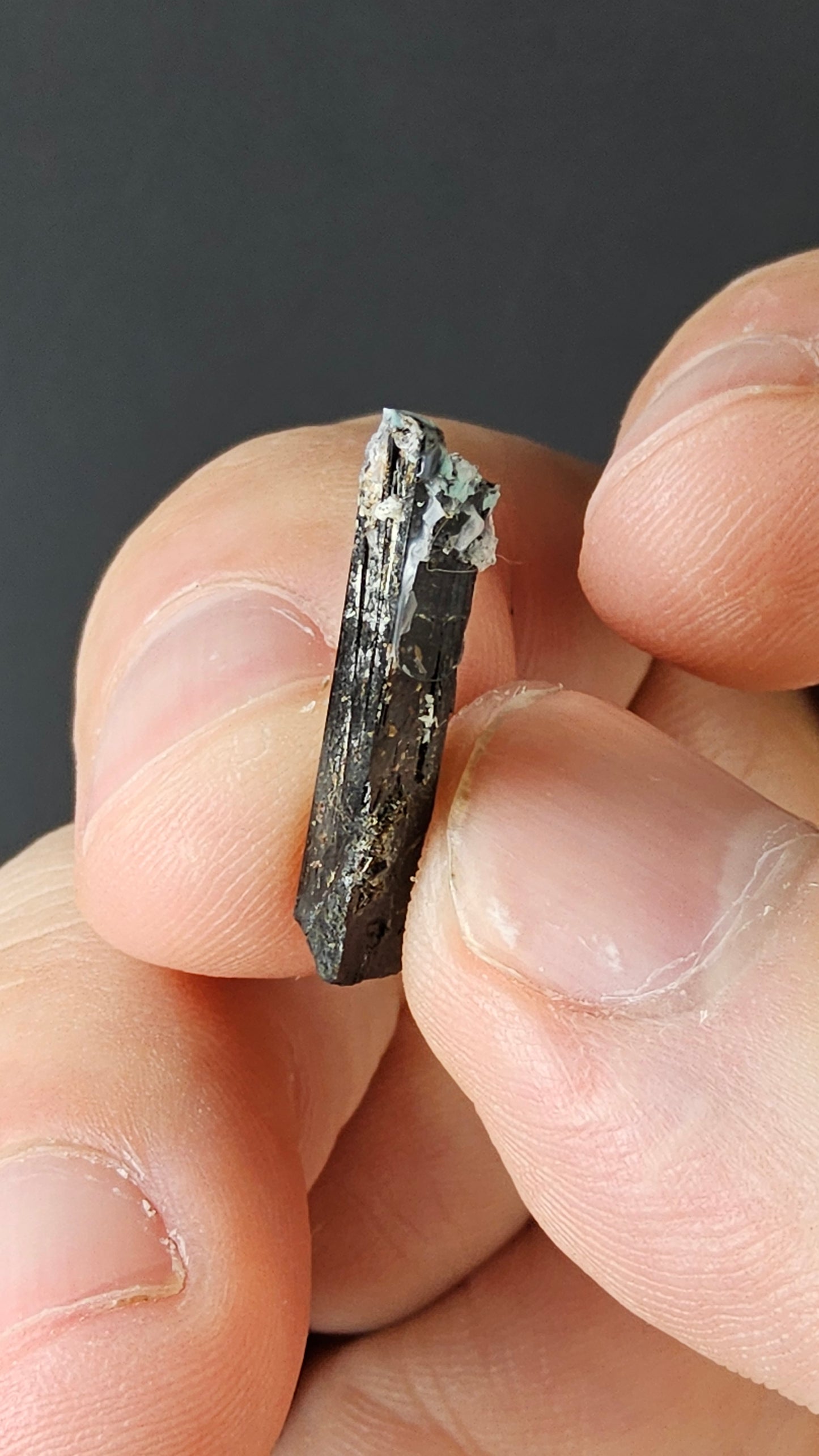 Aegirine - Quebec, Canada - Mount St Hilarious - Jet-black prismatic crystal specimen by Sacred Alchemy Studios