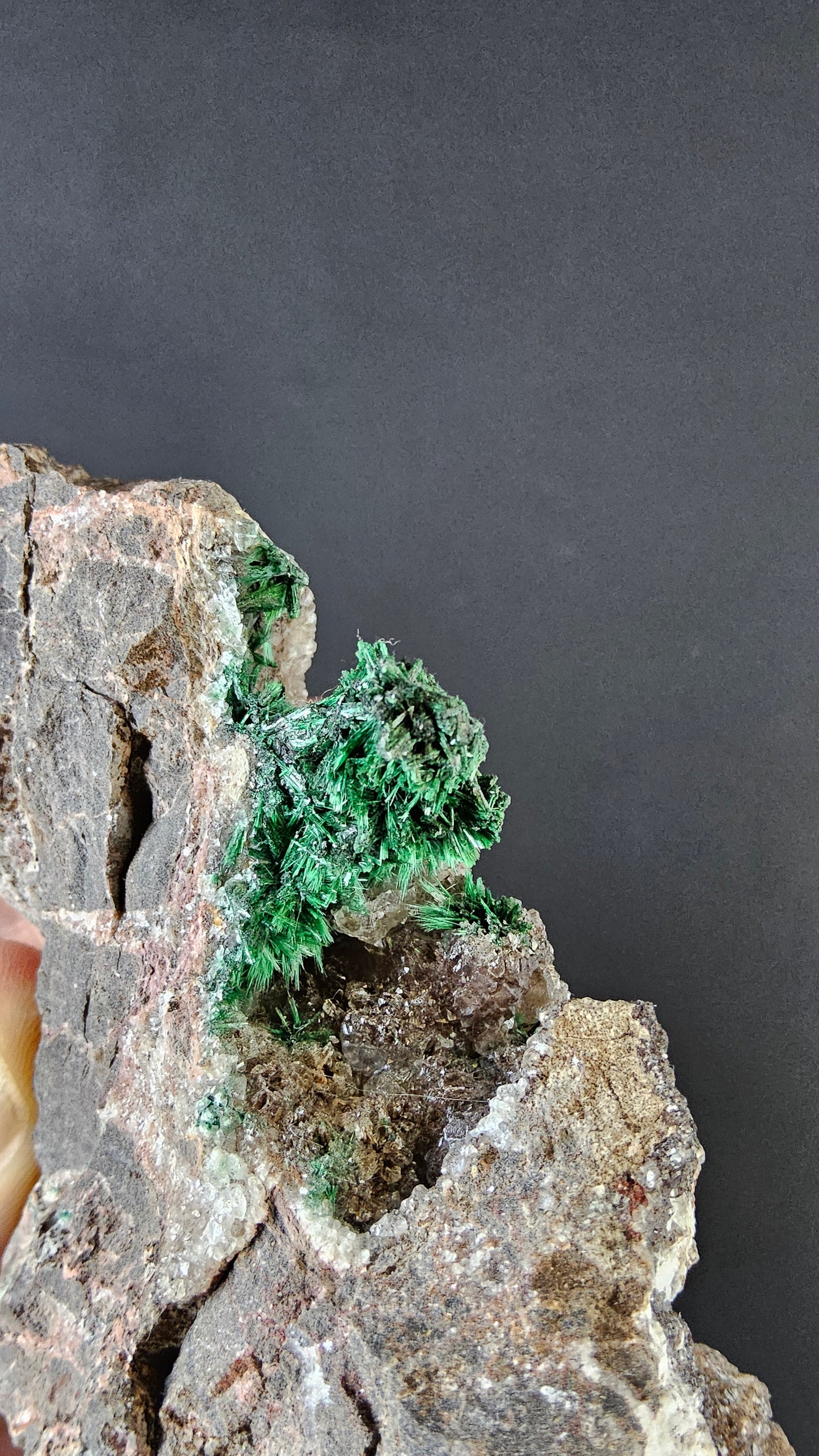 Brochantite - Arizona - Morenci Mine - Fibrous Museum Grade