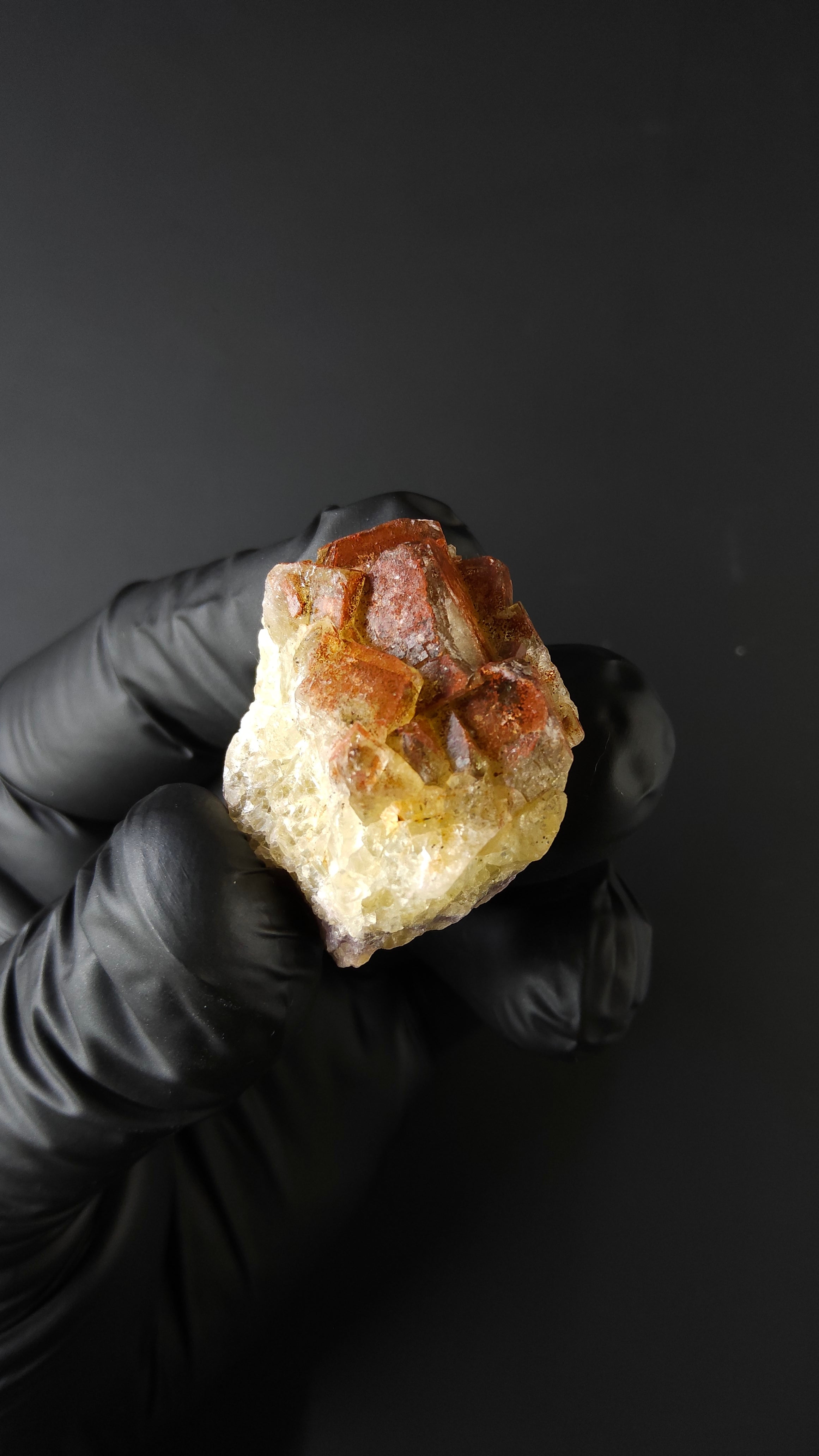 Andradite Garnet - N'chwaning Mine, South Africa - Lustrous dodecahedral crystal by Sacred Alchemy Studios