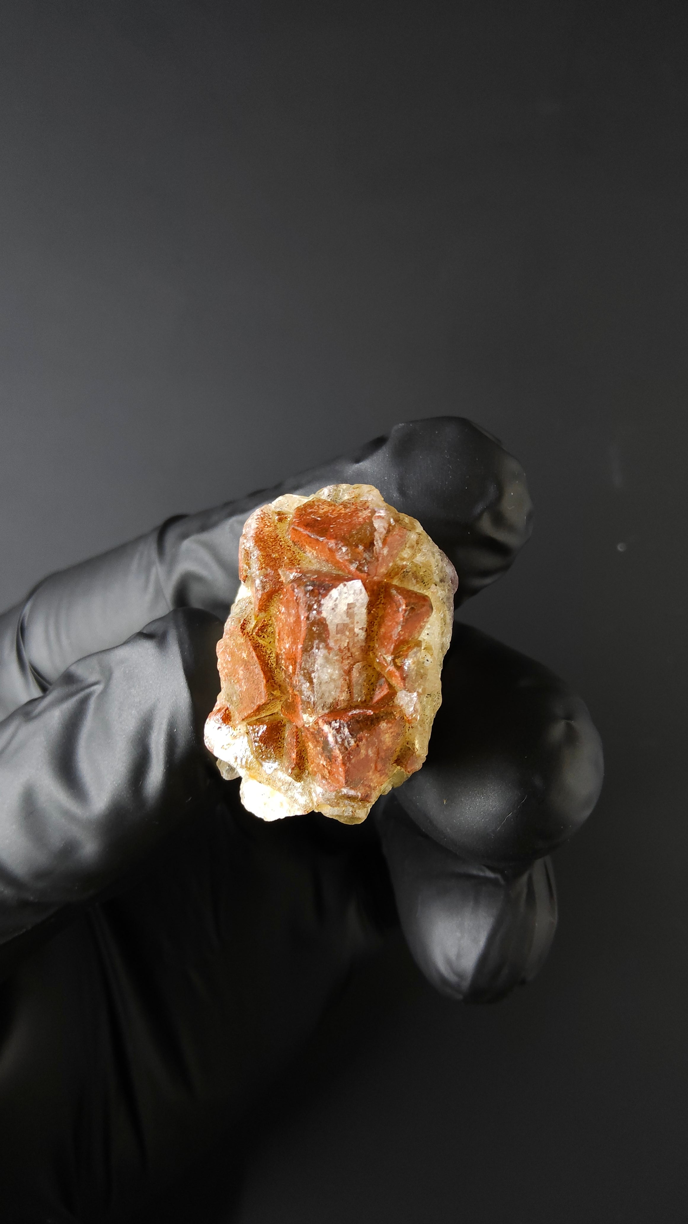 Andradite Garnet - N'chwaning Mine, South Africa - Lustrous dodecahedral crystal by Sacred Alchemy Studios