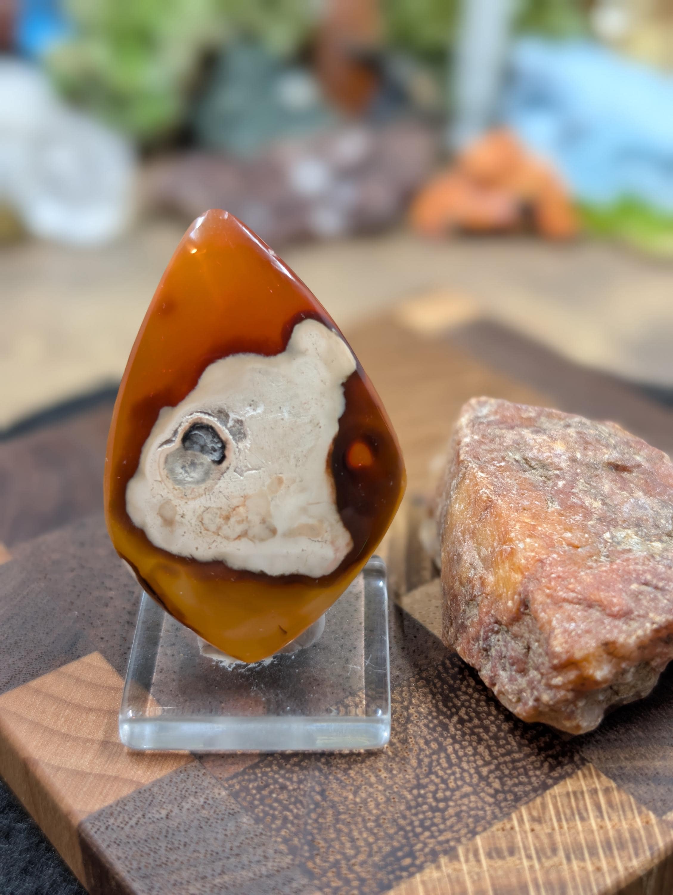 Carnelian -  Morocco  - 1 pc Cabochon