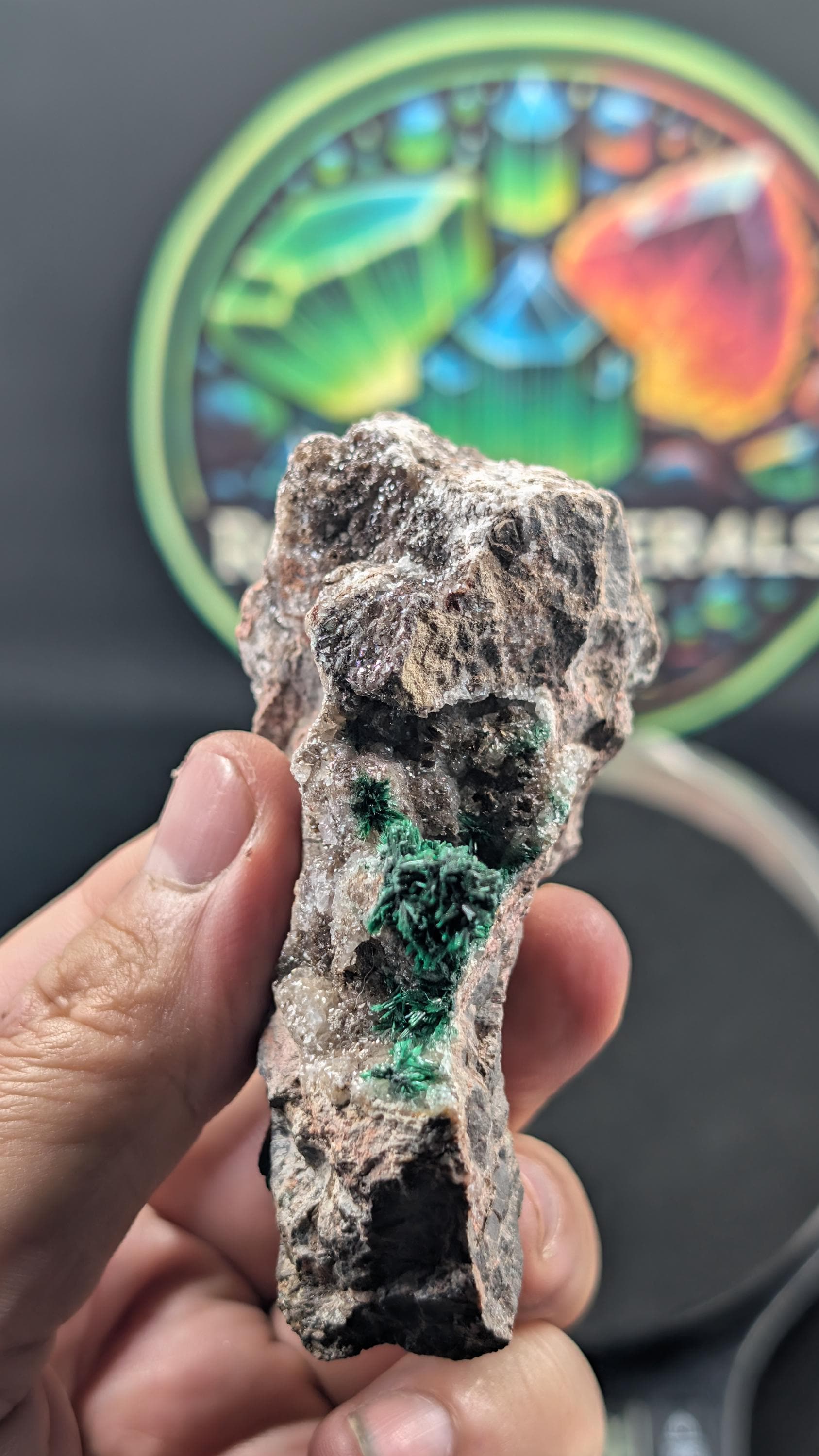 Brochantite - Arizona - Morenci Mine - Fibrous Museum Grade