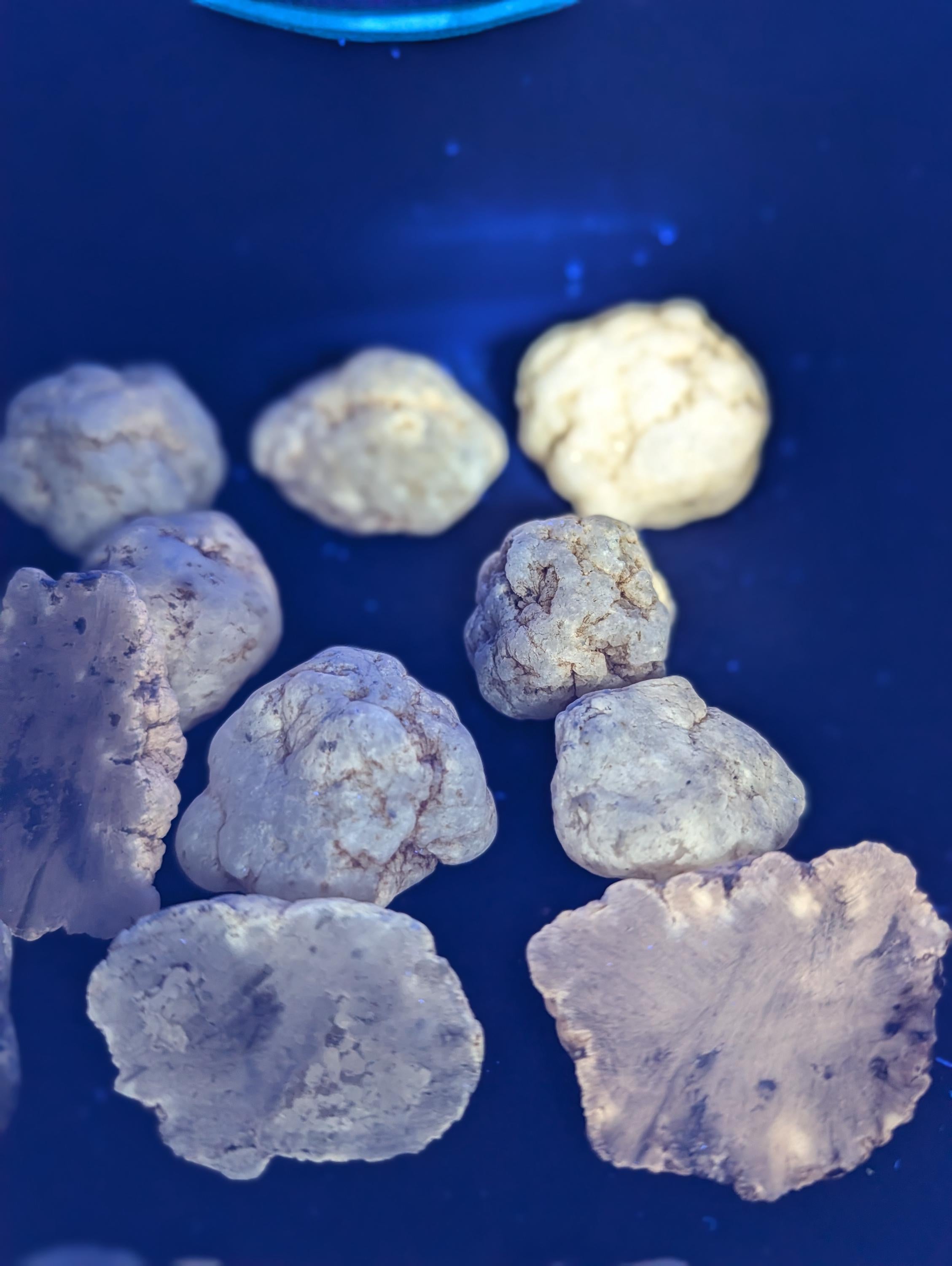 Geodes – Morocco - Phosphorescent - Mini by Sacred Alchemy Studios