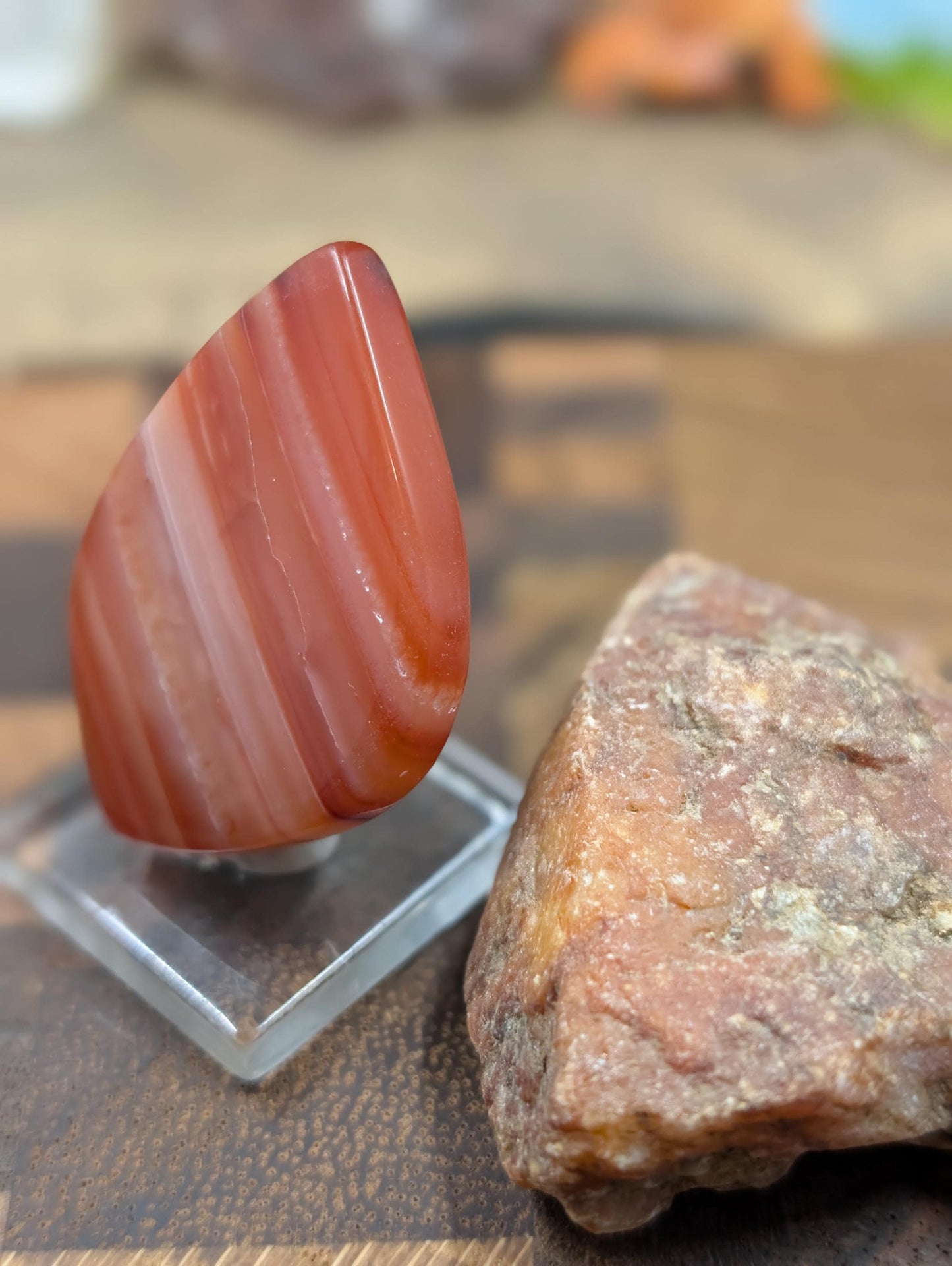 Carnelian -  Morocco  - 1 pc Cabochon
