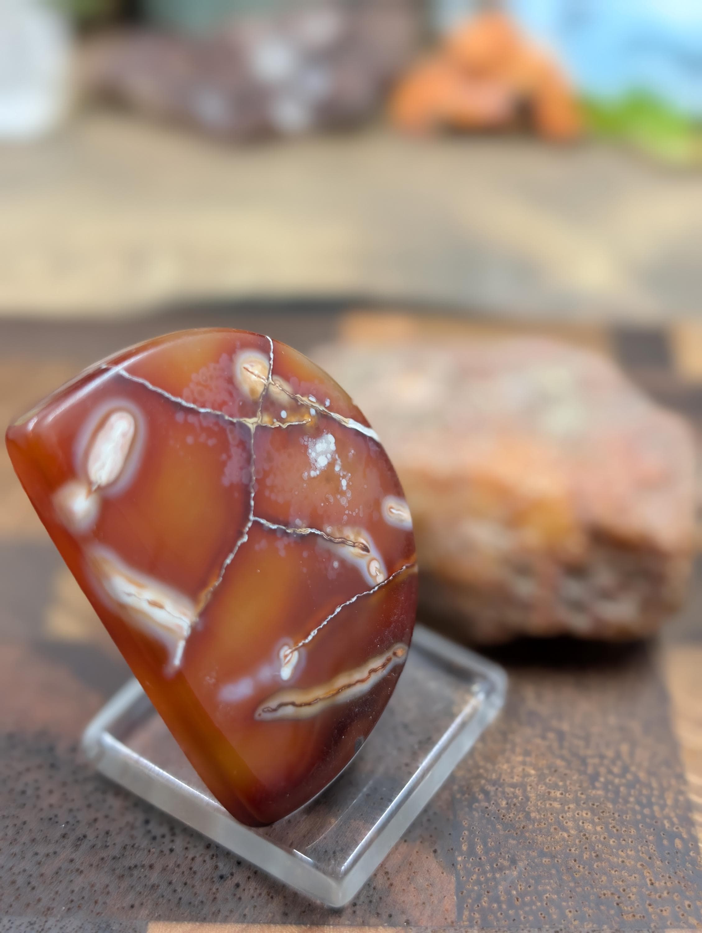Carnelian -  Morocco  - 1 pc Cabochon