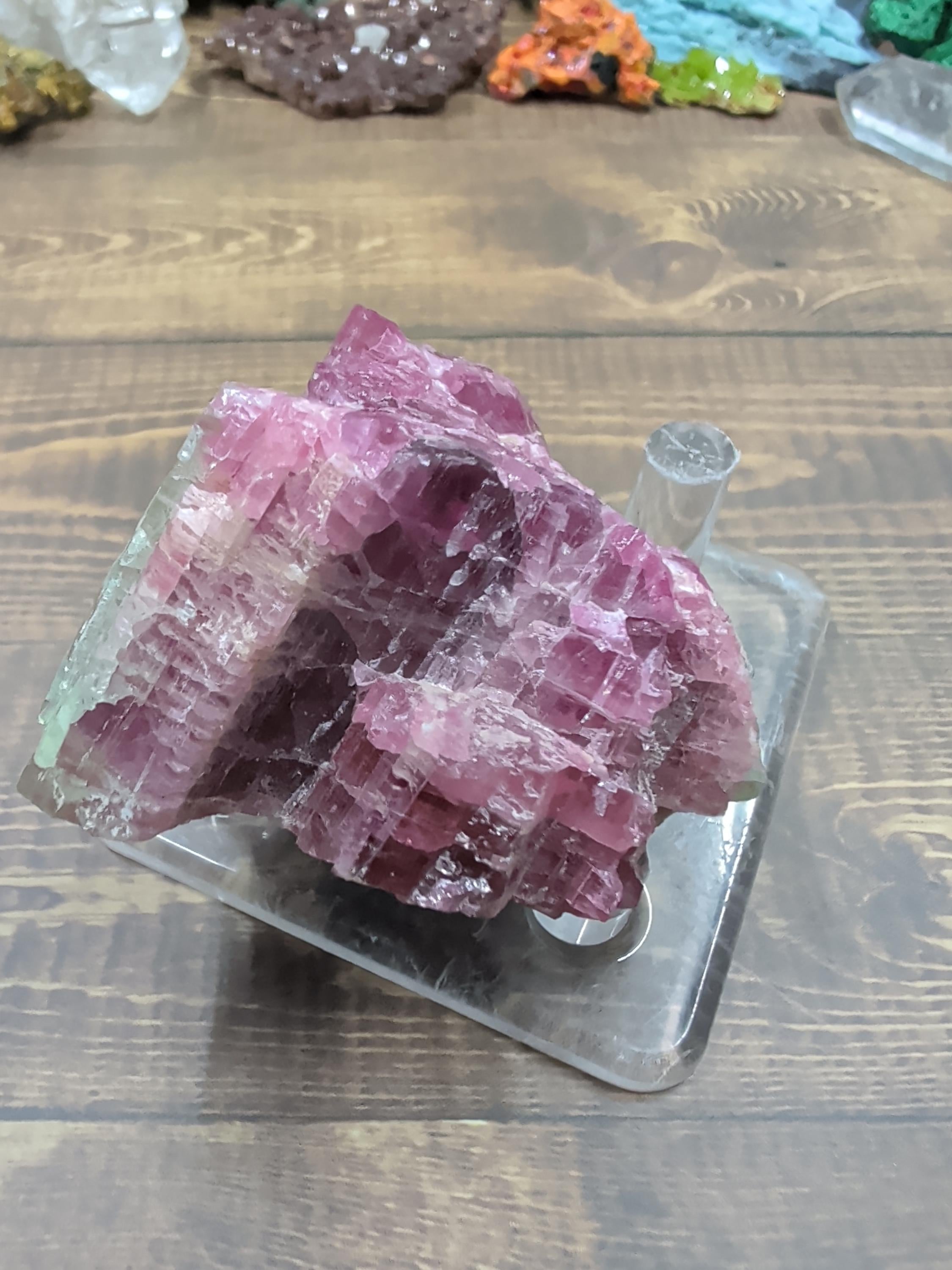 Tourmaline - Watermelon - Minas Gerais, Brazil - Specimen by Sacred Alchemy Studios