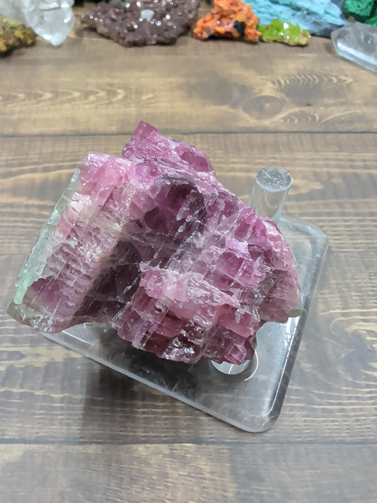 Tourmaline - Watermelon - Minas Gerais, Brazil - Specimen