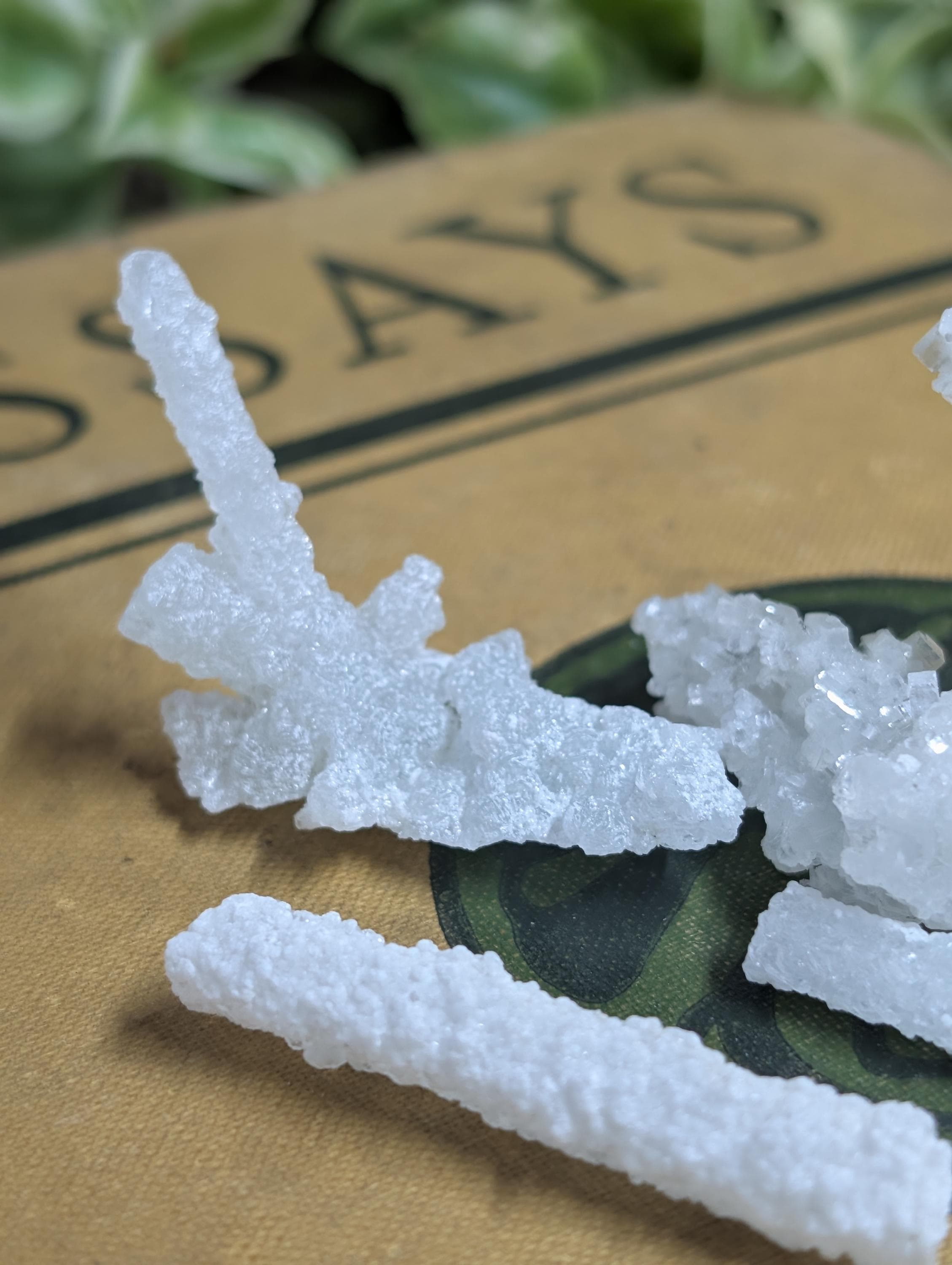 Prehnite – Mined in Quebec from the Jeffrey Mine – Stalactite Form - 50g by Sacred Alchemy Studios