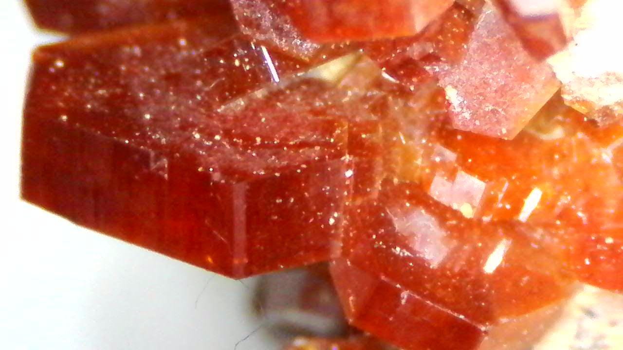 Vanadinite - Morocco - Mibladen - Extra-Large – Museum-Grade - 289 grams by Sacred Alchemy Studios