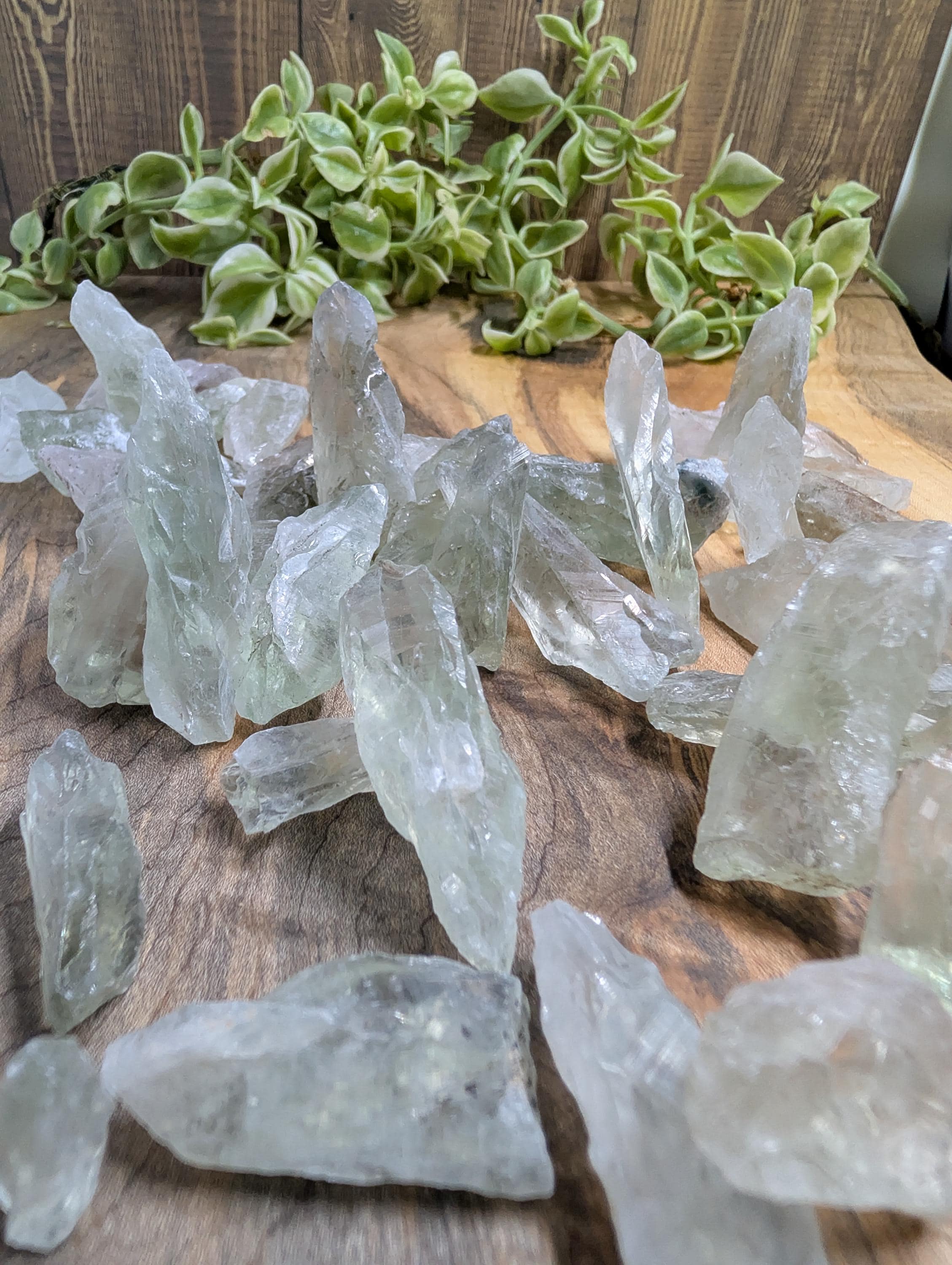 Prasiolite – Minas Gerais, Brazil – Rough Form – Top-Quality Clarity - 50 G by Sacred Alchemy Studios