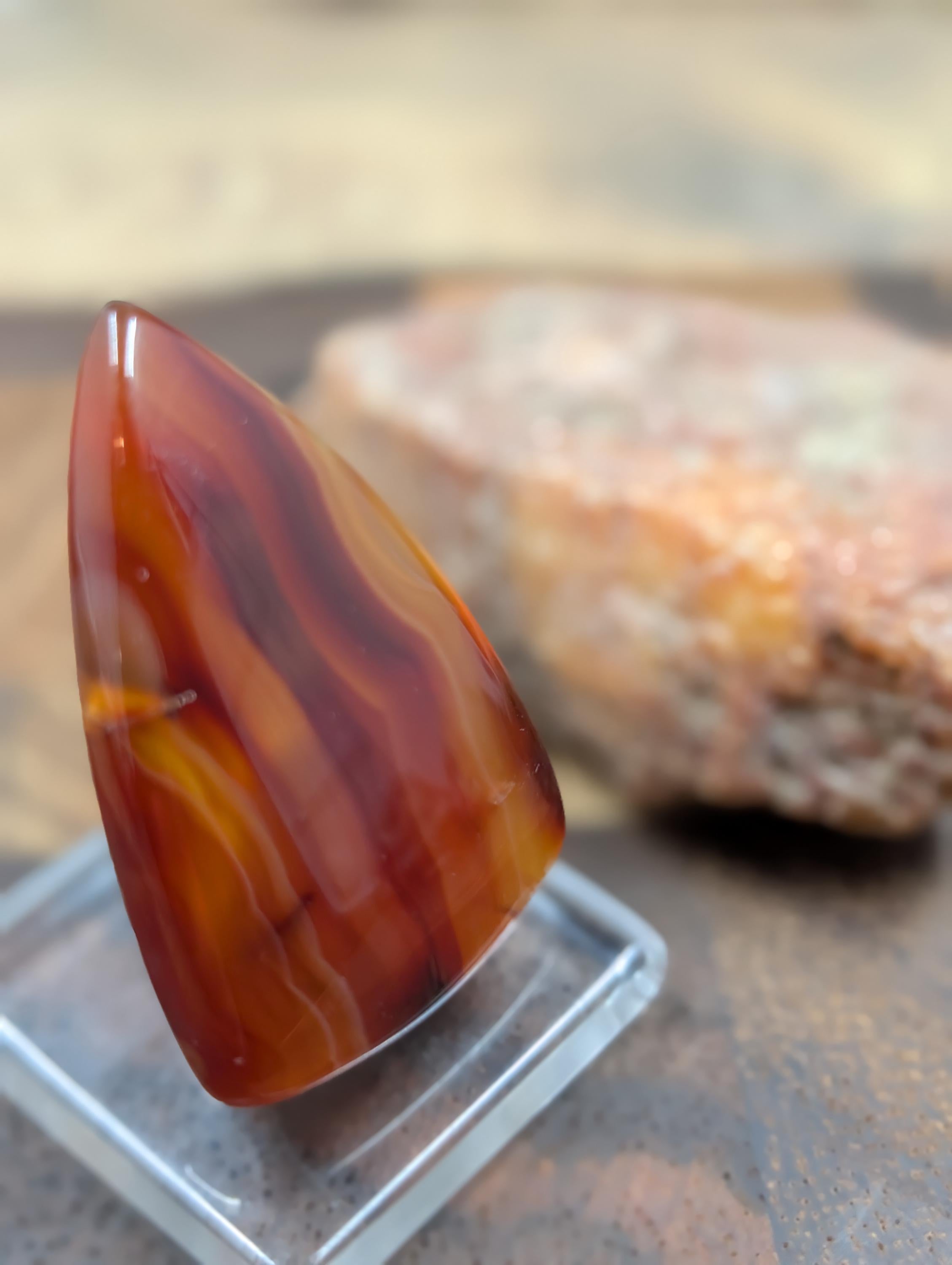 Carnelian -  Morocco  - 1 pc Cabochon