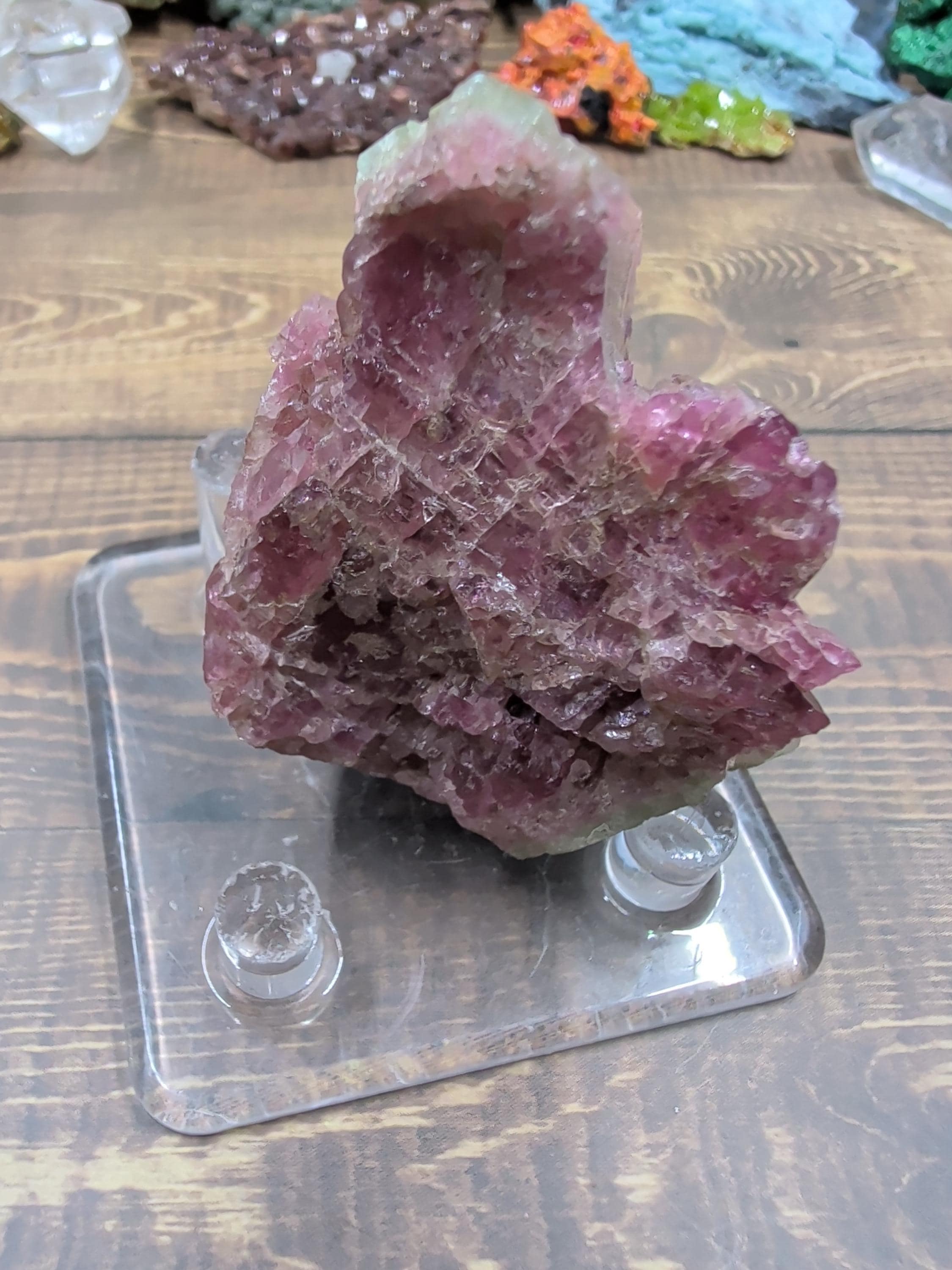 Tourmaline - Watermelon - Minas Gerais, Brazil - Specimen by Sacred Alchemy Studios