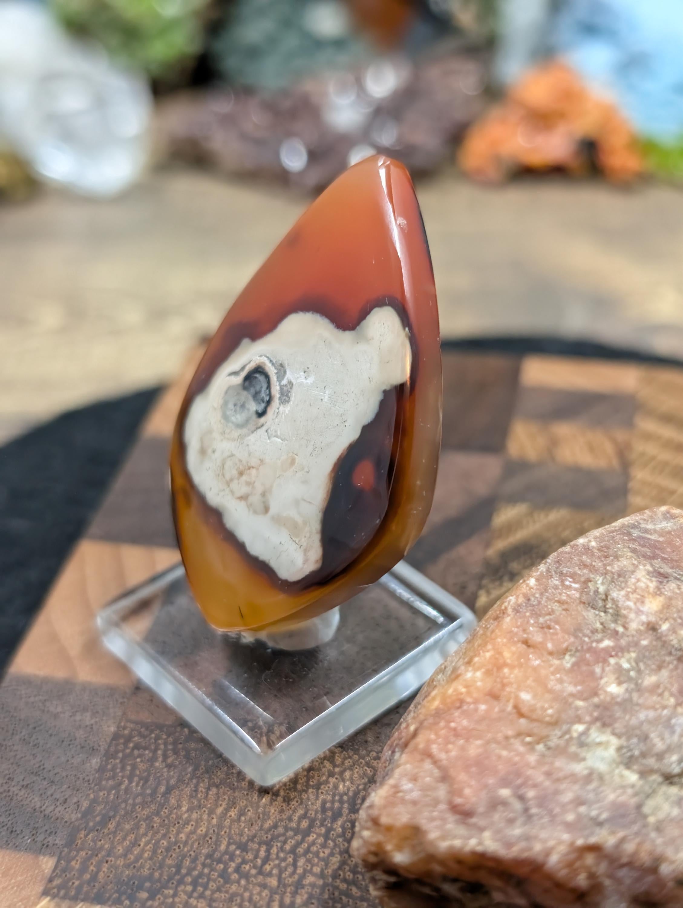 Carnelian -  Morocco  - 1 pc Cabochon