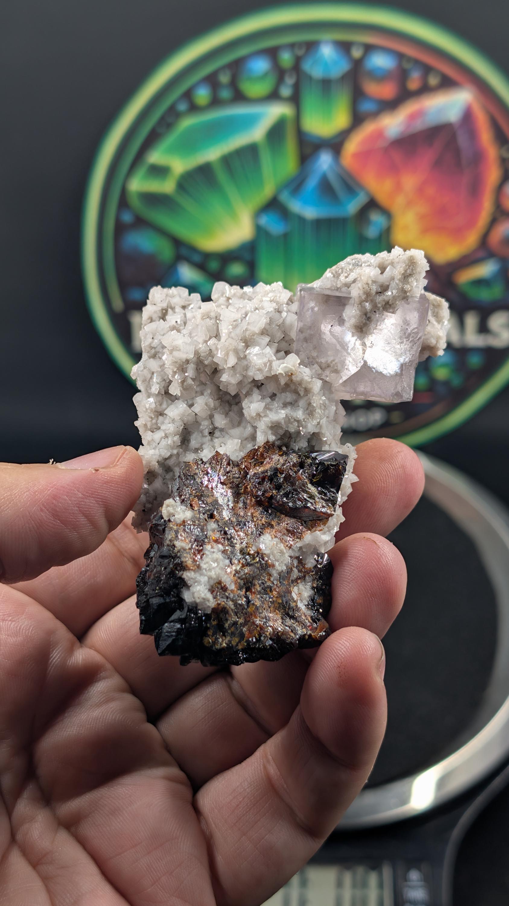 Sphalerite with Purple Fluorite on Dolomite by Sacred Alchemy Studios