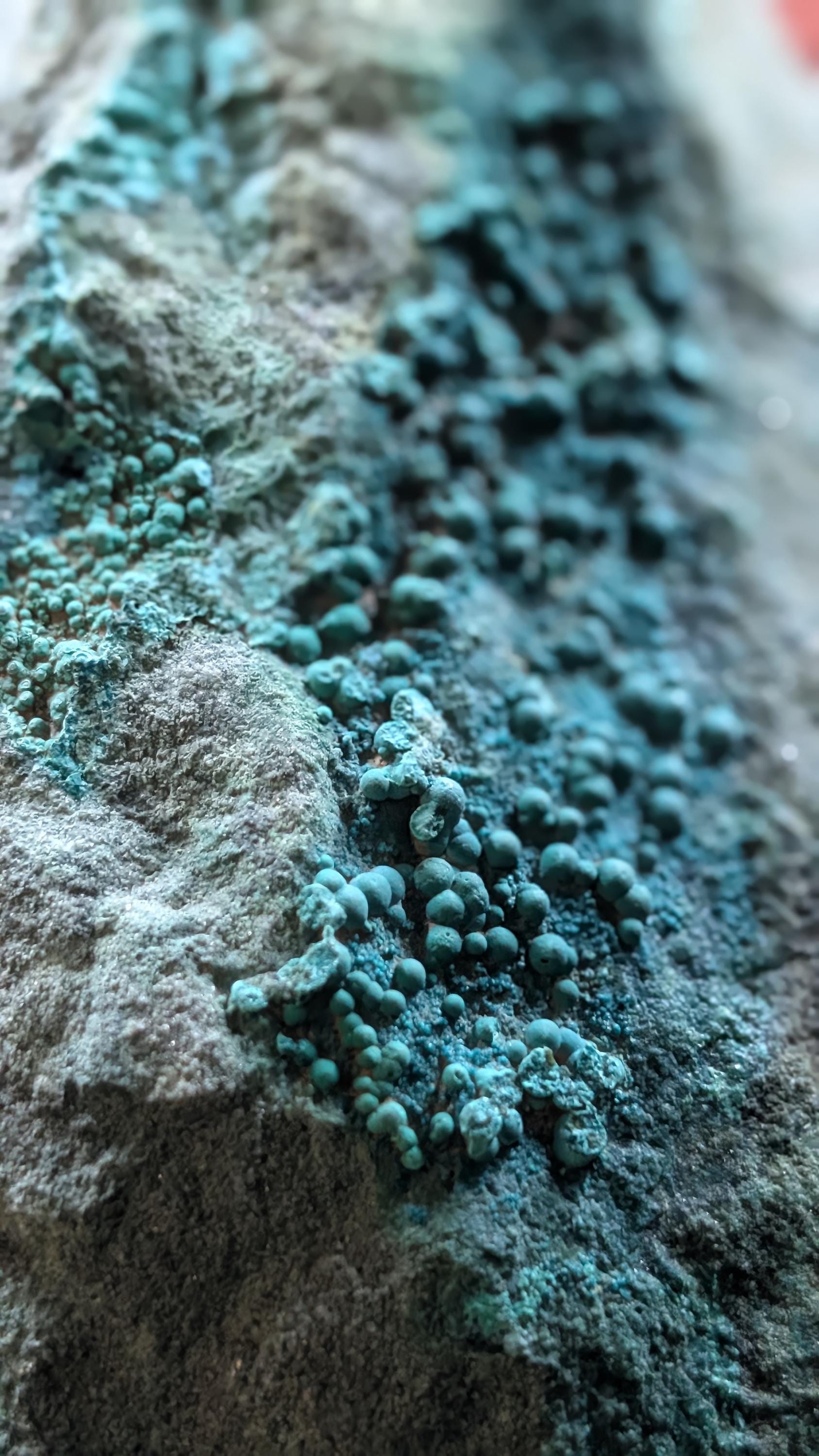 Pseudomalachite - North Arlington, New Jersey - Schuyler Copper Mine - Historic Rare First Copper Mine in US - 769 grams by Sacred Alchemy Studios