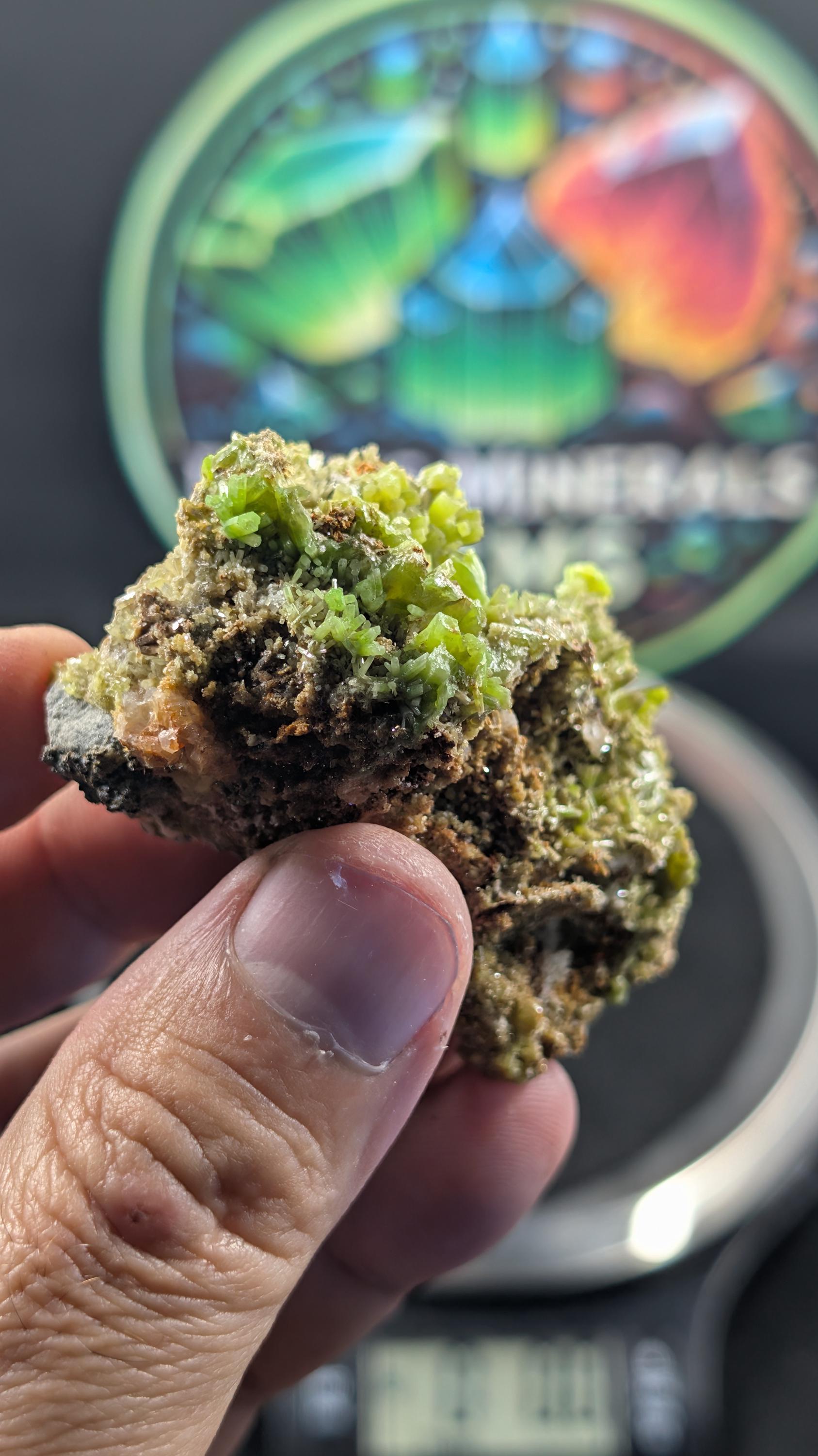 Pyromorphite - China - Daoping Mine - Museum-Grade Specimen by Sacred Alchemy Studios