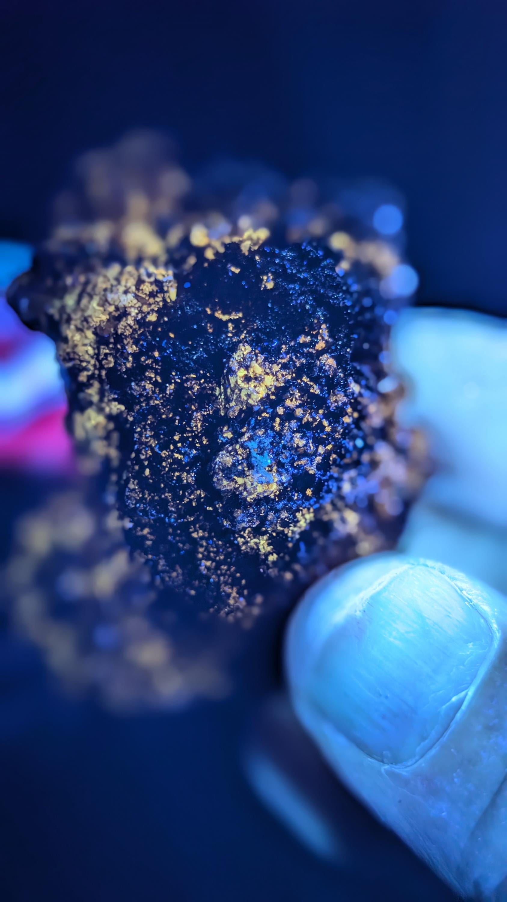 Wulfenite - Durango, Mexico – Ojuela Mine, Mapimí – Vintage Collection Piece - Rare UV Wulfenite by Sacred Alchemy Studios