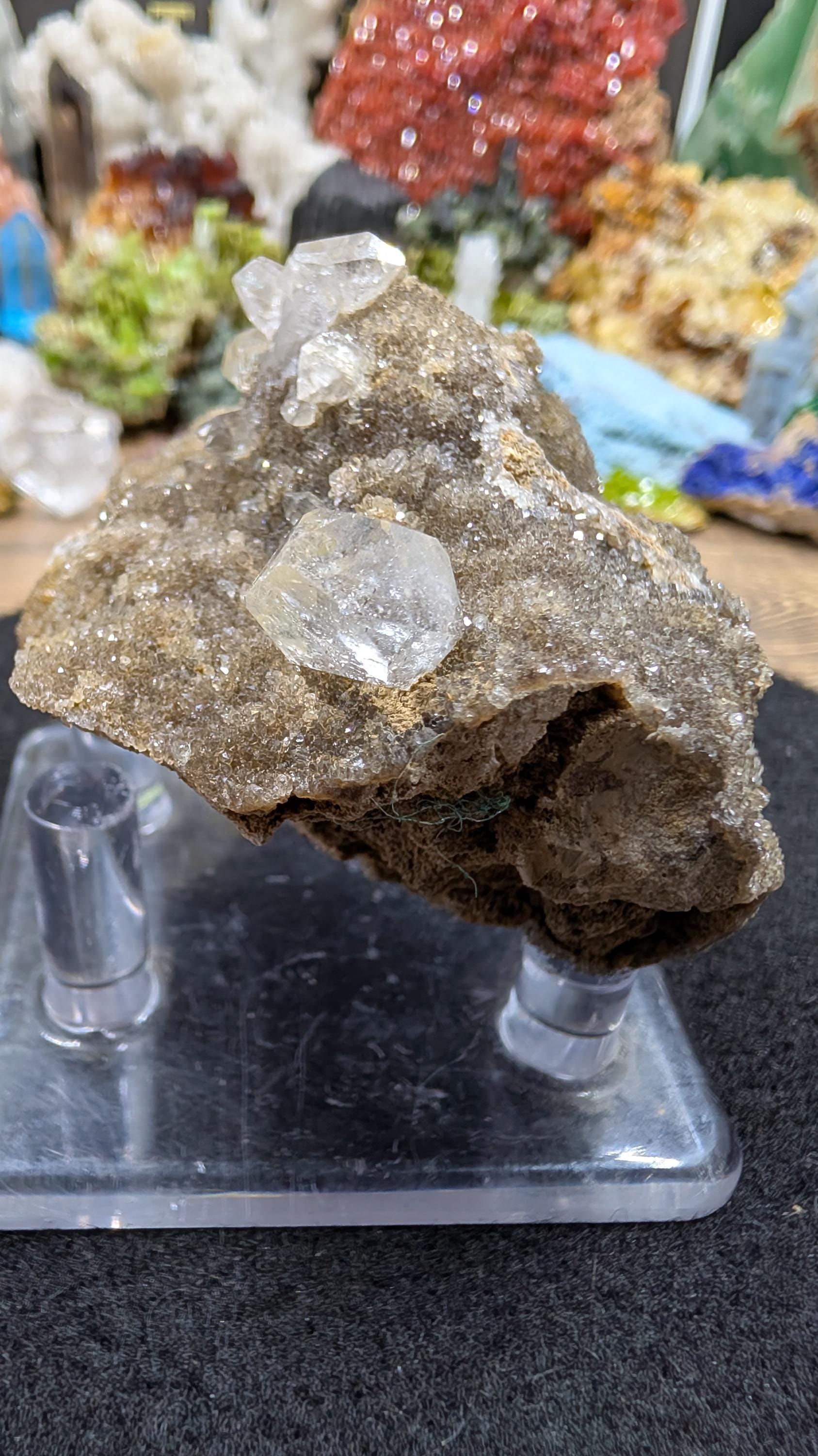 Quartz - Herkimer Diamond - Herkimer County, New York - 139 grams - Multiple Double Terminated Crystals on Druzy Matrix by Sacred Alchemy Studios