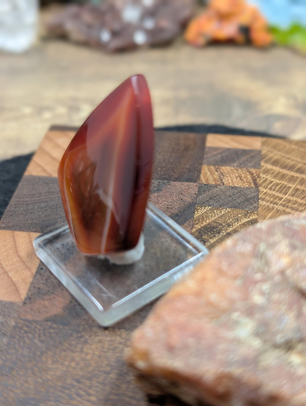 Carnelian -  Morocco  - 1 pc Cabochon