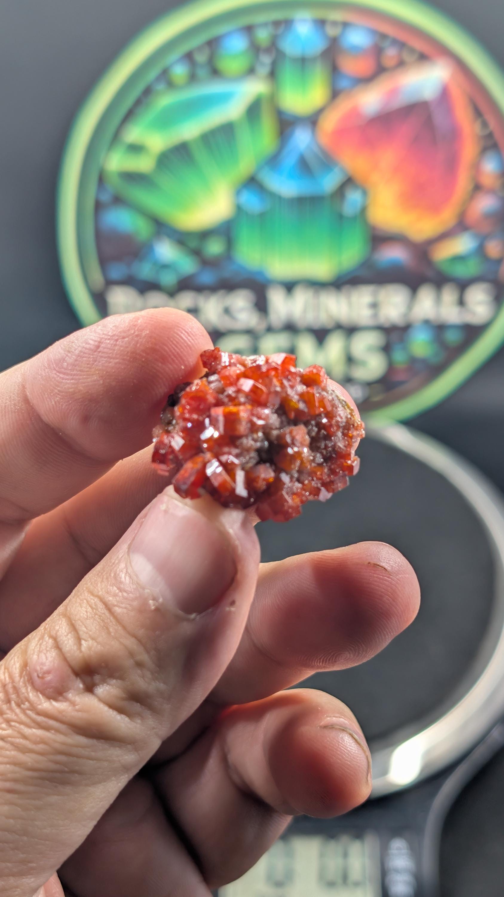 Vanadinite - Morocco - Mibladen - Wire Wrap ? Pictures Do not do it Justice!!! by Sacred Alchemy Studios