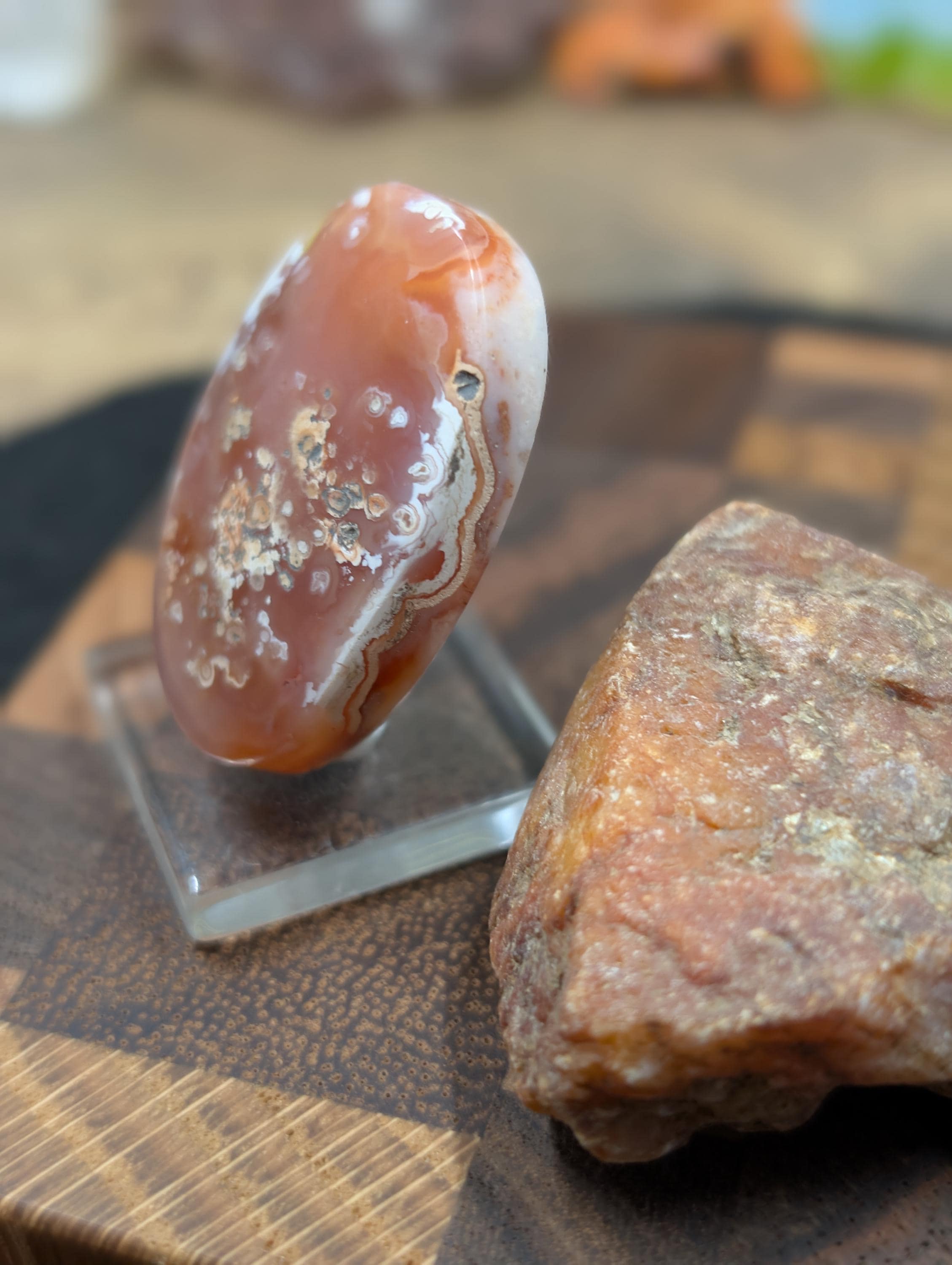 Carnelian -  Morocco  - 1 pc Cabochon