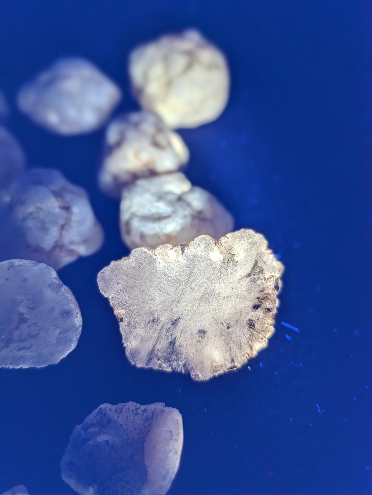 Geodes – Morocco - Phosphorescent - Mini