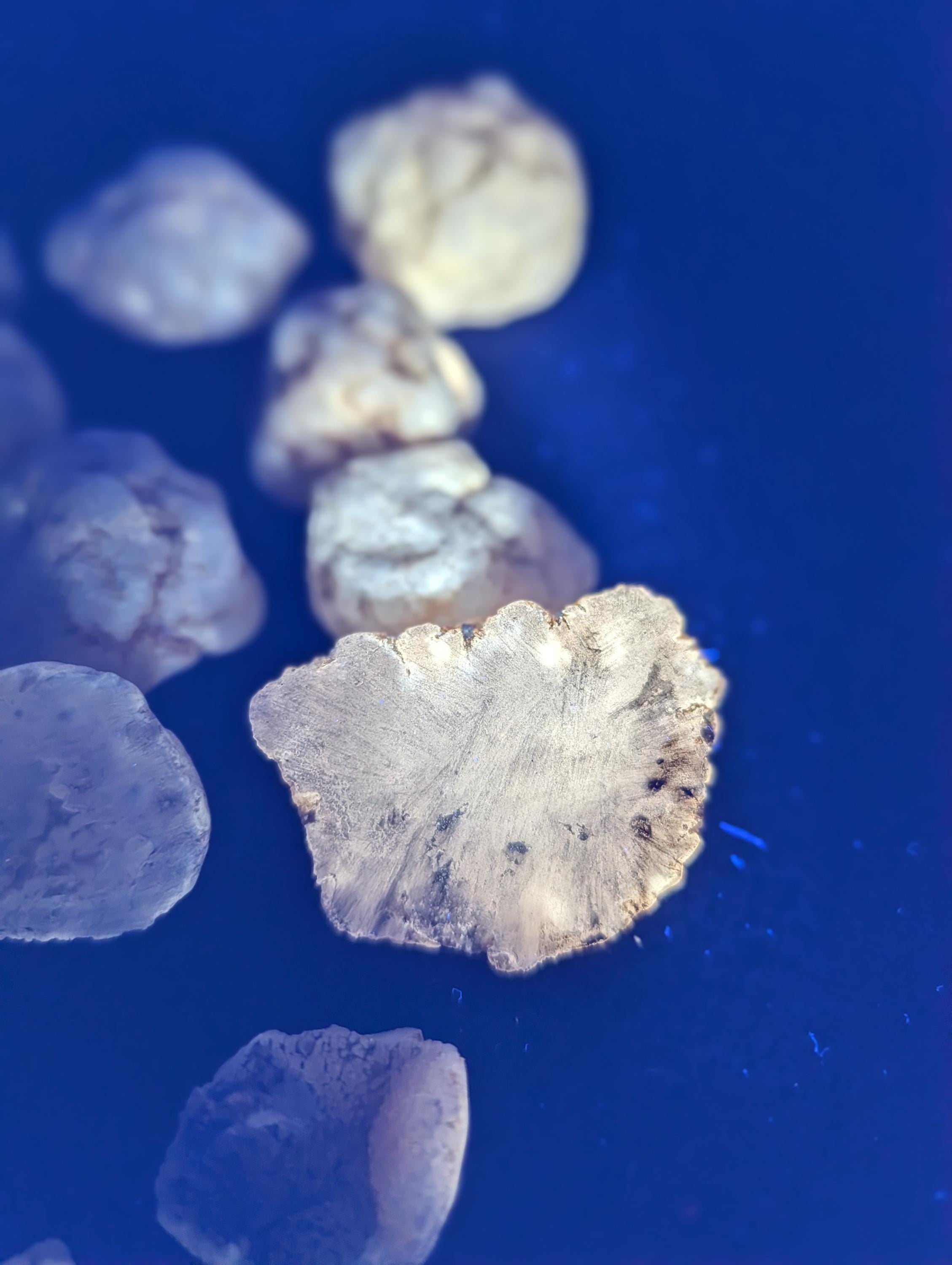 Geodes – Morocco - Phosphorescent - Mini by Sacred Alchemy Studios