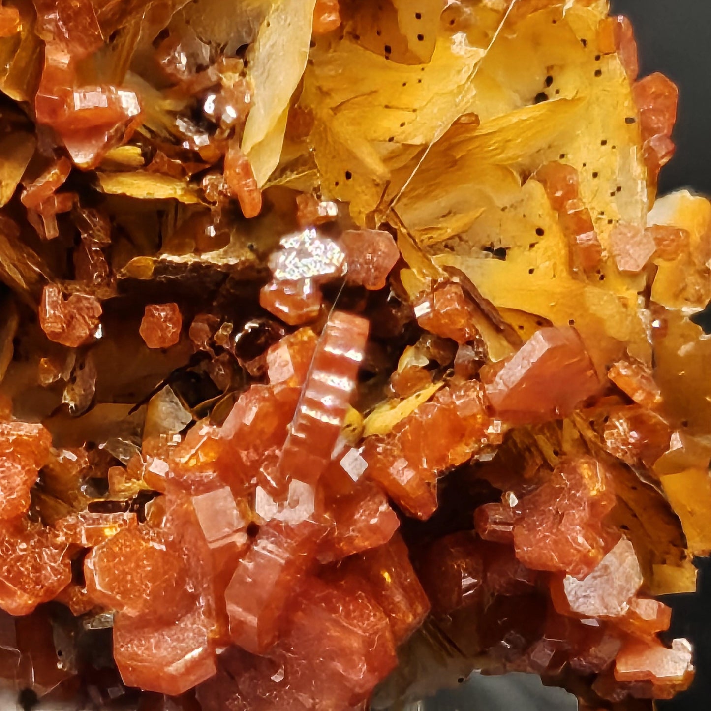 Vanadinite - Morocco - Mibladen