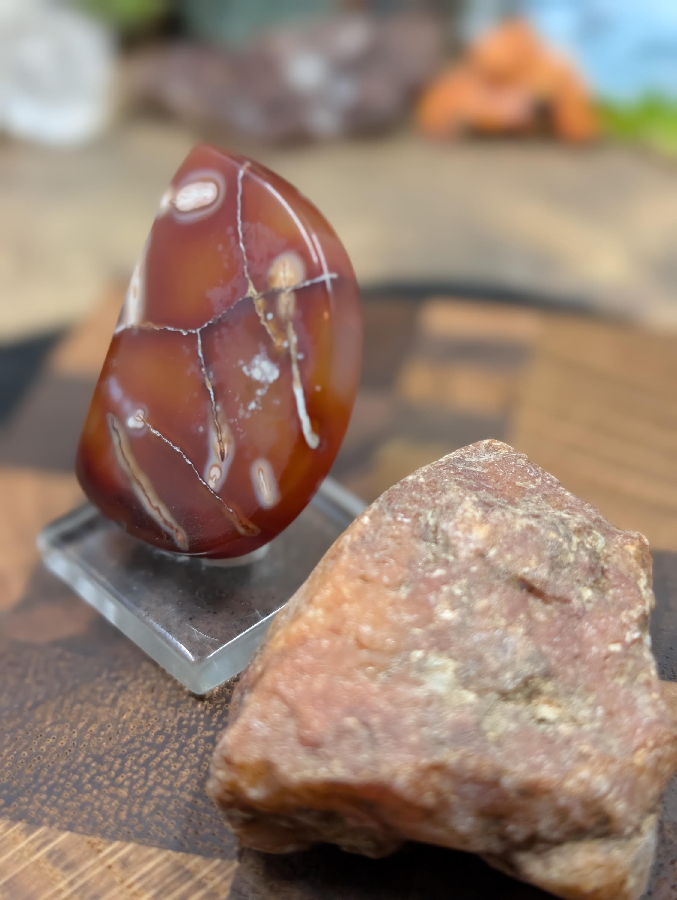 Carnelian -  Morocco  - 1 pc Cabochon