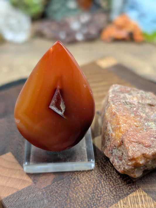 Carnelian -  Morocco  - 1 pc Cabochon