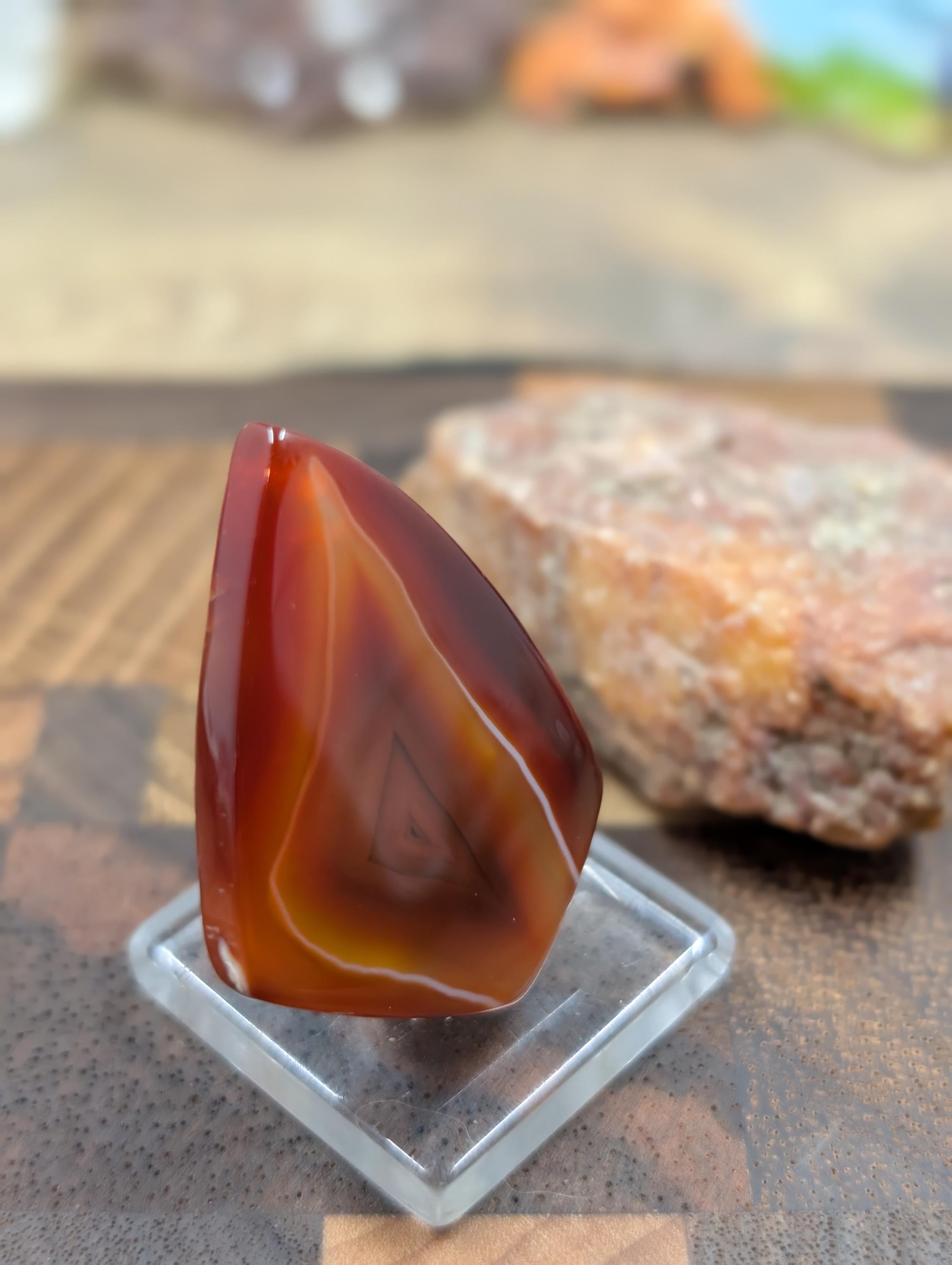 Carnelian -  Morocco  - 1 pc Cabochon