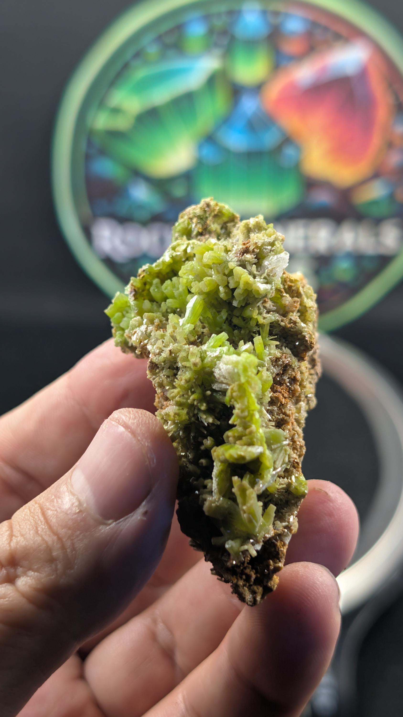 Pyromorphite - China - Daoping Mine - Museum-Grade Specimen by Sacred Alchemy Studios